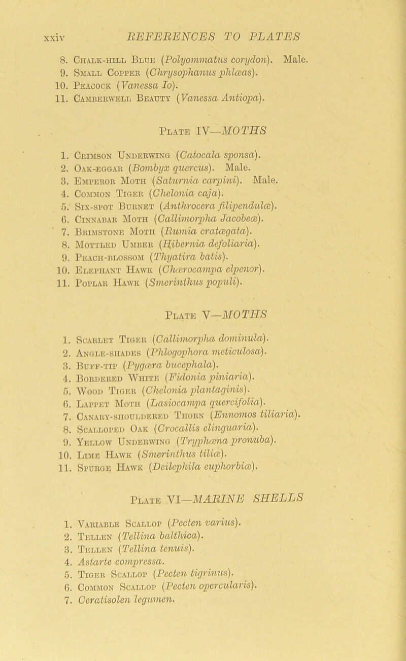 8. CnALK-inLL Blue {Polyommatus corydon). Male. 9. Coppeb [Clirysoplianus phlaas). 10. Peacock {Vanessa lo). 11. Caaibeewell Beauty {Vanessa Antiopa). Plate IN—MOTHS 1. CiinisoN Underwing {Catocala sponsa). 2. Oak-egg.ae {Bombyx quercus). Male. 3. Emperor Moth {Saturma carpini). Male. 4. Common Tiger {Chelonia caja). r>. Six-spot Burnet {Antlirocera filipendulcc). (). Cinnabar Moth {Gallimorpha Jacobece). 7. Brimstone Moth {Rumia crataigata). 8. Mottled Umber {Hibernia defoliaria). !). Peach-blossom {Thyatira balls). 10. Elephant Hawk {Cluerocampa clpenor). 11. Poplar Hawk {Smcrinlhus populi). Plate N—MOTES 1. Scarlet Tiger {Callimorplia dominula). 2. Angle-shades {PhlogopUora mcticulosa). 3. Buee-tip {Pygoira buecphala). 4. Bordered White {Pidonia piniaria). 5. Wood Tiger {Chelonia plantaginis). (). Lappet Moth {Lasiocampa quercifolia). 7. Canary-shouldered Thorn {Ennomos tiliaria). 8. Scalloped Oak {Crocallis elinguaria). !). Yellow Underwing {Tryphauiapronuba). 10. Limb Hawk {Smerinlhus tilice). 11. Spurge Hawk {Deilcphila euphorbioi). Plate Nl—MARINE SHELLS 1. Variable Scallop {Peeten varius). 2. Tellen {Tellina baUhica). 3. Tellen {Tellina tenuis). 4. Astarte eoinpressa. 5. Tiger Scallop {Peeten tigrinns). 0. Common Scallop {Peeten opercularis). 7. Ceratisolen legiimen.