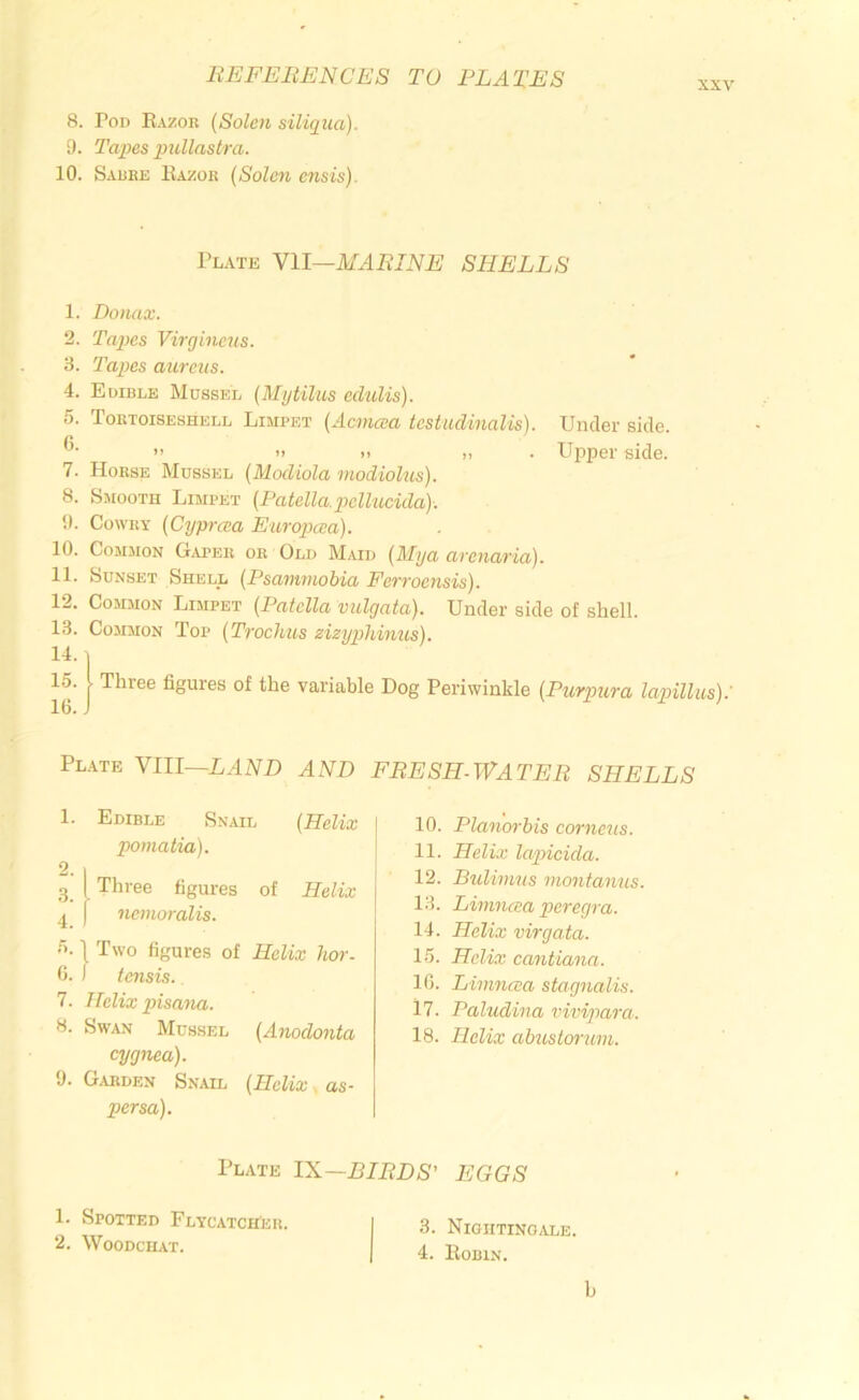 XXV 8. Pod Eazor (Solen siliqua). 9. Tapes ptdlastra. 10. Sauee Eazoe {Solen cnsis).. Pl.\te Nil—marine shells 1. Donax. 2. Tapes Virgineus. 3. Tapes aureus. 4. Edible Mussel (Mytilus cdulis). 5. Tortoiseshell Limpet (Acmcea testudinalis). Under side. ” ” » >. . Upper side. 7. Horse Mussel [Modiola modiolus). 8. Sjiooth Limpet [Patella.pclhccida). 9. Cowry (Cyprcea Europaa). 10. Common Gaper or Old Maid [Mya arcnaria). 11. Sunset Shell [Psarmnobia Ferroensis). 12. CoM-MON Limpet [Patella vulgata). Under side of shell. 13. Common Top [Trochus eizyphinus). 14.1 15. 1 Three figures of the variable Dog Periwinkle [Purpura lapillus): 16. J Plate Ylll—LAND AND 1. Edible Snail [Helix pomatia). 2. 1 g I Three figures of Helix j nemoralis. 5.1 Two figures of Helix lior. 6. ) tensis. 7. Helix pisana. 8. Swan Mussel [Anodonta cygnea). 9. Garden Snail [Helix . as- persa). FRESH-WATER SHELLS 10. Planorbis cornctis. 11. Helix lapicida. 12. Bidimus montanus. 13. Lwincca peregra. 14. Helix virgata. 15. Helix cantiann. 16. Limna;a stagnalis. 17. Paludina vivigiara. 18. Helix abustcn'uvi. Plate IX—BIRDS' EGGS 3. Nigiitino,vle. 4. Eobin. 1. Spotted Flycatcher. 2. Woodchat. b