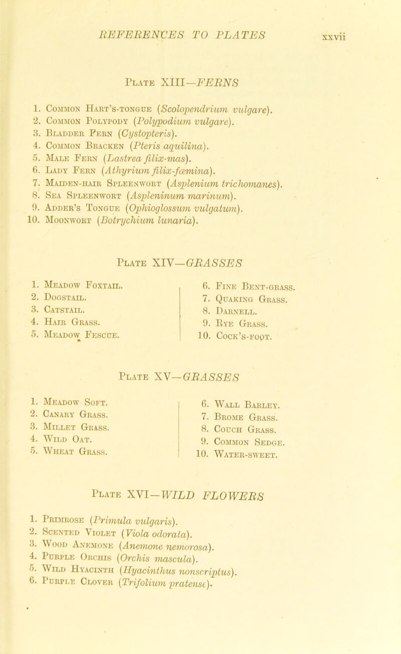 Plate Xlll—FEBNS 1. Common Hart’s-tongoe (Scolopendriiom vulgare). 2. Common Polypody (Polypodium vulgare). 3. Bladder Fern (Cystopteris). 4. Common Bracken (Ptcris aguilina). 5. Male Fern (Lastrca filix-mas). 6. Lady Fern (Athyrium filix-fcemina). 7. Maiden-hair Spleen wort (Asplenium trichomanes). 8. Sea Spleenwort (Aspleninum viarimmi). 9. Adder’s Tongue (Ophioglossu/m vulgatum). 10. Moonwort (Botrychium lunaria). Plate XIV—GLASSES 1. Meadow Foxtail. 2. Dogstail. 3. Catstail. 4. Hair Grass. 5. Me.adow Fescue. 6. Fine Bent-grass. 7. Quaking Grass. 8. Darnell. 9. Eye Grass. 10. Cock’s-foot. Plate XY—GLASSES 1. Meadow Soft. 2. Canary Grass. 3. Millet Grass. 4. Wild Oat. 5. Wheat Grass. 6. Wall Barley. 7. Broke Grass. 8. Couch Grass. 9. Common Sedge, 10. Water-sweet. Plate XYl—WILD FLOWELS 1. Primrose (Primula vidgaris). 2. Scented Violet (Viola odorala). 3. Wood Anemone (Anemone nemorosa). 4. Purple Orchis (Orchis mascida). 5. Wild Hyacinth (Hyacinthus nonscriptus). 6. PuRPi.E Clover (Trifolmm pratensc)-