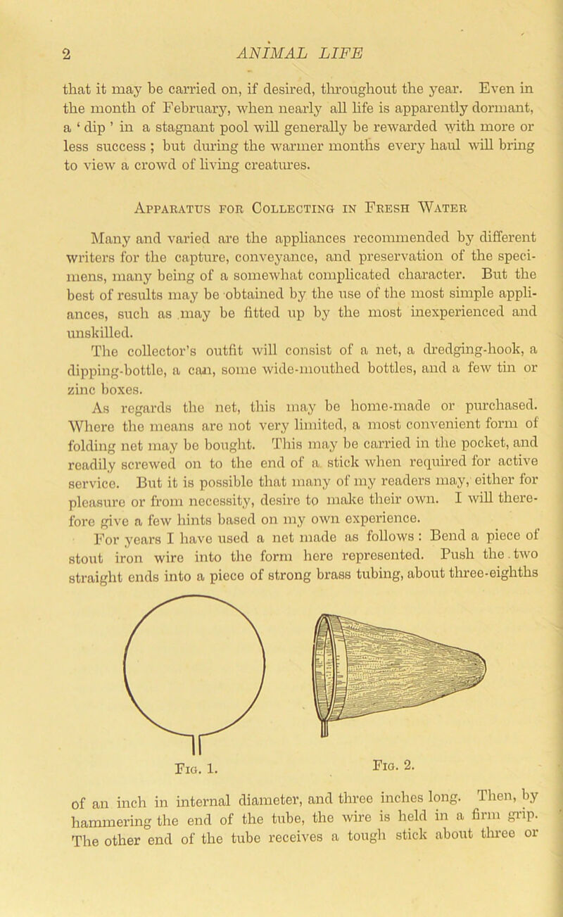 that it may be carried on, if desired, tlmougliout the year. Even in the month of February, when nearly aU life is apparently dormant, a ‘ dip ’ in a stagnant pool will generally be rewarded ^yith more or less success ; but diu’ing the w’armer months every haul wUl bring to view a crowd of livmg creatiu’es. Apparatus for Collecting in Fresh Water Many and varied are the appliances recommended by different writers for the capture, conveyance, and preservation of the speci- mens, many being of a somewhat complicated character. But the best of results may be obtained by the use of the most simple appli- ances, such as may be fitted up by the most inexperienced and unskilled. The collector’s outfit will consist of a net, a dredging-hook, a dipping-bottle, a can, some wide-niouthed bottles, and a few tin or zinc boxes. As regards the net, this may be home-made or purchased. Where the means are not very limited, a most convenient form of folding net may be bought. This may be carried in the pocket, and readily screwed on to the end of a. stick when required for active service. But it is possible that many of my readers may, either for pleasure or from necessity, desire to make their own. I will there- fore give a few hints based on my own experience. For years I have used a net made as follows : Bend a piece of stout iron wire into the form here represented. Push the.two straight ends into a piece of strong brass tubing, about three-eighths of an inch in internal diameter, and three inches long. Then, by j hammering the end of the tube, the wire is held in a firm gi'ip. The other end of the tube receives a tough stick about tln-ee or
