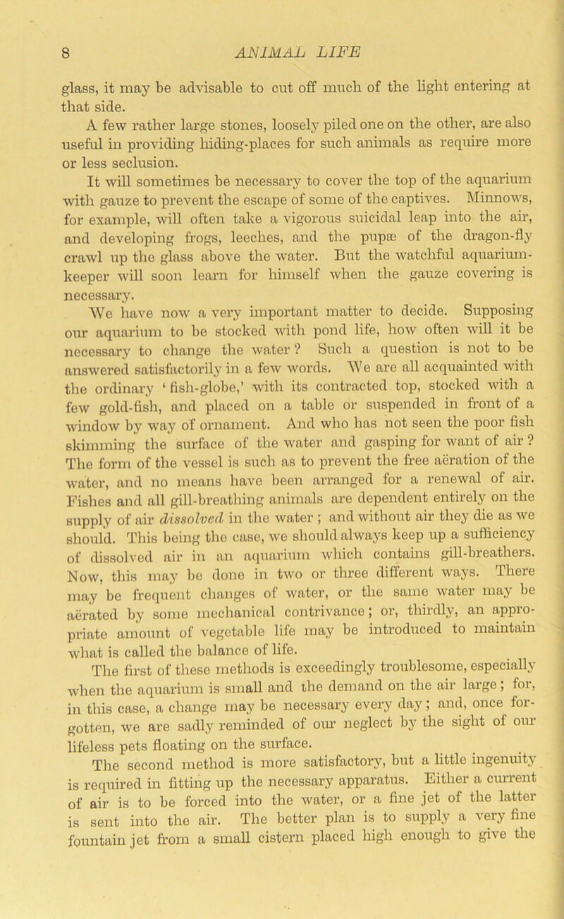 glass, it may be advisable to cut off much of the light entering at that side. A few rather large stones, loosely piled one on the other, are also useful in providing hiding-places for such animals as require more or less seclusion. It will sometimes be necessary to cover the top of the aquarium with gauze to prevent the escape of some of the captives. Minnows, for example, will often take a vigorous suicidal leap into the air, and developing frogs, leeches, and the pitpa; of the dragon-fly crawl up the glass above the water. But the watchful aquarimn- keeper will soon learn for himself when the gauze covering is necessary. We have now a very important matter to decide. Supposing our aquarium to be stocked with pond life, how often will it be necessary to change the water ? Such a question is not to be answered satisfactorily in a few words. We are all acquainted with the ordinary ‘ fish-globe,’ with its contracted top, stocked with a few gold-fish, and placed on a table or suspended in front of a window by way of ornament. And who has not seen the poor fish skimming the surface of the water and gasping for want of air ? The form of the vessel is such as to prevent the free aeration of the water, and no means have been arranged for a renewal of air. Fishes and all gill-breathing animals are dependent entirely on the supply of air dissolved in the water ; and without air they die as we slioul'd. This being tlie case, we should always keep up a sufficiency of dissolved air in an acpiarium which contains gill-breathers. Now, this may be done in two or three different ways. There may be frequent changes of water, or the same water may be aerated by some mechanical contrivance; or, thirdly, an appro- priate amount of vegetable life may be introduced to maintain what is called the balance of life. The first of these methods is exceedingly troublesome, especially when the aquarium is small and the demand on the air large , for, in this case, a change may be necessary every day; and, once for- gotten, we are sadly reminded of oiu' neglect by the sight of our lifeless pets floating on the surface. The second method is more satisfactory, but a little ingenuity is required in fitting up the necessary apparatus. Either a ciwrent of air is to be forced into the water, or a fine jet of the latter is sent into the air. The better plan is to supply a very fine fountain jet fr-om a small cistern placed high enough to give the