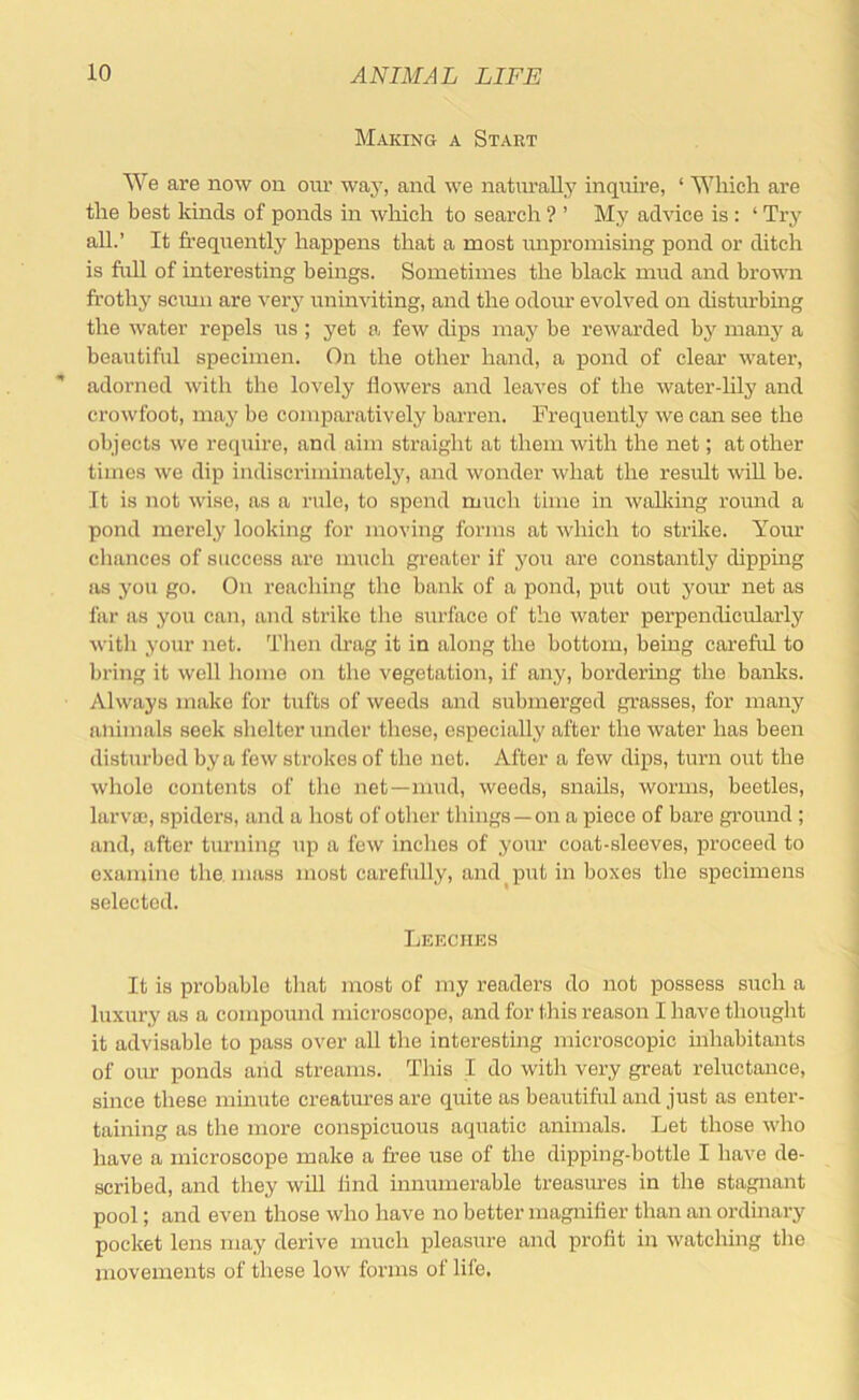 Making a Start We are now on oiu' way, and we naturally inquire, ‘ Which are the best kinds of ponds in which to search ? ’ My advice is : ‘ Try all.’ It frequently happens that a most unpromising pond or ditch is full of interesting beings. Sometimes the black mud and brown irothy scimi are very uninviting, and the odour evolved on disturbing the water repels us ; yet a few dips may be rewarded by many a beautiful specimen. On the other hand, a pond of clear water, adorned with the lovely flowers and leaves of the water-lily and crowfoot, may be comparatively barren. Frequently we can see the objects we requii’e, and aim straight at them with the net; at other times we dip indiscriminateljq and wonder what the result will be. It is not wise, as a rule, to spend much time in walliing roimd a pond merely looking for moving forms at which to strike. Your chances of success are much greater if you are constantly dipping as you go. On reaching the bank of a pond, put out yonr net as far as you can, and strike the surface of the water perpendicularly with your net. Then drag it in along the bottom, being careful to bring it well home on the vegetation, if any, bordering the banks. Always make for tufts of weeds and submerged grasses, for many animals seek shelter under these, especially after the water has been disturbed by a few strokes of the net. After a few dips, turn out the whole contents of the net—mud, weeds, snails, worms, beetles, larvae, spiders, and a host of other things —on a piece of bare gi’ound ; and, after turning up a few inches of your coat-sleeves, proceed to examine the. mass most carefully, and ^ put in boxes the specimens selected. Lekciies It is probable that most of ray readers do not possess such a luxury as a compound microscope, and for this reason I have thought it advisable to pass over all the interesting microscopic inhabitants of our ponds aiid streams. This I do with very great reluctance, since these minute creatures are quite as beautiful and just as enter- taining as the more conspicuous aquatic animals. Let those who have a microscope make a fr’ee use of the dipping-bottle I have de- scribed, and they will And innumerable treasures in the stagnant pool; and even those who have no better magnifier than an ordinary pocket lens may derive much pleasure and profit in watching the movements of these low forms of life.
