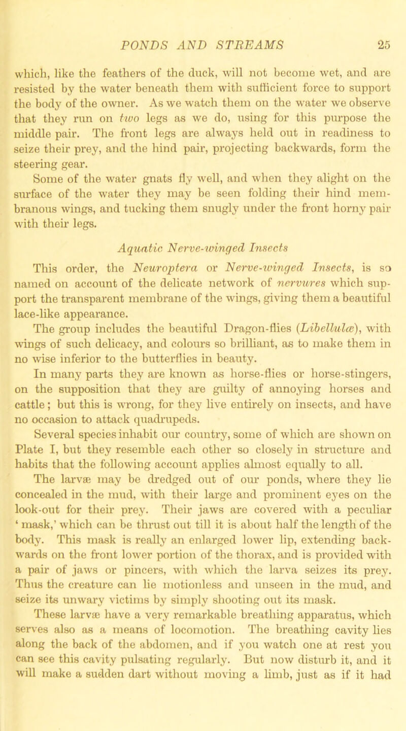 which, like the feathers of the duck, will not become wet, and are resisted bj' the water beneath them with sufficient force to support the body of the owner. As we watch them on the water we observe that they run on five legs as we do, using for this purpose the middle pair. The front legs are always held out in readiness to seize their prey, and the hind pair, projecting backwards, form the steering gear. Some of the water gnats fly well, and when they alight on the surface of the w'ater they may be seen folding their hind mem- branous wings, and tucking them snugly under the fi’ont horny pair with then’ legs. Aquatic Nerve-tvinged Insects This order, the Neuroptera or Nerve-tuinged Insects, is so named on account of the delicate network of nervures which sup- port the transparent membrane of the wings, giving them a beautiful lace-like appearance. The group includes the beautiful Dragon-flies (Libellulce), with wdngs of such delicacy, and colours so brilliant, as to make them in no wise inferior to the butterflies in beauty. In many parts they are known as horse-flies or horse-stingers, on the supposition that they are guilty of annoying horses and cattle; but this is wrong, for they live entirely on insects, and have no occasion to attack quadi-upeds. Several species inhabit oiu' country, some of which are shown on Plate I, but they resemble each other so closely in structure and habits that the following account applies ahnost equally to all. The larvae may be dredged out of om* ponds, where they lie concealed in the mud, with theu’ large and prominent eyes on the look-out for their prey. Their jaws are covered with a peculiar ‘ mask,’ which can be thrust out till it is about half the length of the body. This mask is really an enlarged lower lip, extending back- wards on the front lower portion of the thorax, and is provided with a pair of jaws or pincers, with which the larva seizes its prey. Thus the creature can lie motionless and unseen in the mud, and seize its unwary victims by simply shooting out its mask. These larvse have a very remarkable breathing apparatus, which serves also as a means of locomotion. The breathing cavity lies along the back of the abdomen, and if you watch one at rest you can see this cavity pulsating regularly. But now disturb it, and it will make a sudden dart without moving a hmb, just as if it had