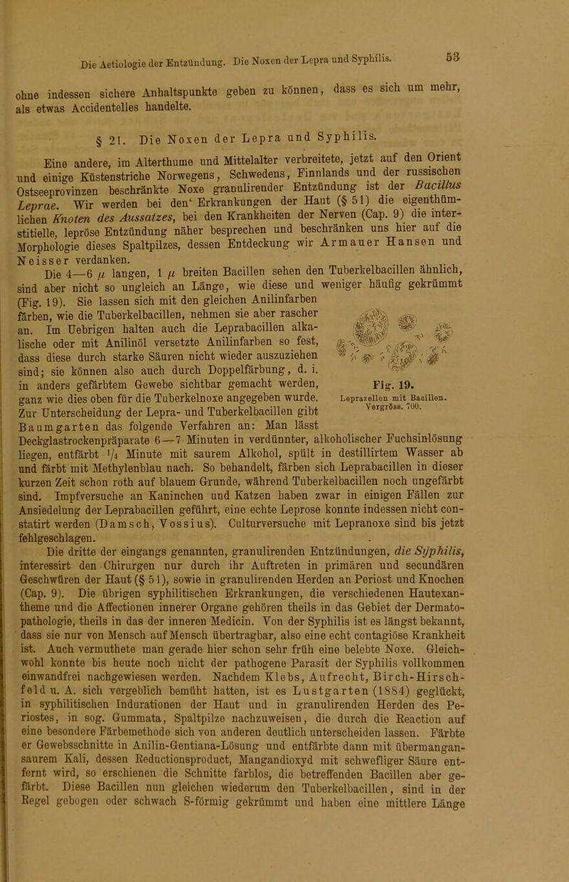 ohne indessen sichere Anhaltspunkte geben zu können, dass es sich um mehr, als etwas Accidentelles handelte. 21. Die Noxen der Lepra und Syphilis. »'S' Fig. 19. Leprazellen mit Baoillen. VergrSss. lüO. Eine andere, im Alterthume und Mittelalter verbreitete, jetzt auf den Orient und einige Küstenstriche Norwegens, Schwedens, Finnlands und der russischen Ostseeprovinzen beschränkte Noxe granulirender Entzündung ist der Bacillus Leprae. Wir werden bei den‘Erkrankungen der Haut (§51) die eigenthüm- lichen Knoten des Aussatzes, bei den Krankheiten der Nerven (Cap. 9) die inter- stitielle, lepröse Entzündung näher besprechen und beschränken uns hier auf die Morphologie dieses Spaltpilzes, dessen Entdeckung wir Armauer Hansen und Noiss er verdanken. . Die 4—6 ß langen, 1 ß breiten Bacillen sehen den Tuberkelbacillen ähnlich, sind aber nicht so ungleich an Länge, wie diese und weniger häufig gekrümmt (Fig. 19). Sie lassen sich mit den gleichen Anilinfarben färben, wie die Tuberkelbacillen, nehmen sie aber rascher an. Im Uebrigen halten auch die Leprabacillen alka- lische oder mit Anilinöl versetzte Anilinfarben so fest, dass diese durch starke Säuren nicht wieder auszuziehen sind; sie können also auch durch Doppelfärbung, d. i. in anders gefärbtem Gewebe sichtbar gemacht werden, ganz wie dies oben für die Tuberkelnoxe angegeben wurde. Zur Unterscheidung der Lepra- und Tuberkelbacillen gibt Baumgarten das folgende Verfahren an: Man lässt Deckglastrockenpräparate 6—7 Minuten in verdünnter, alkoholischer Fuchsinlösung liegen, entfärbt 1/4 Minute mit saurem Alkohol, spült in destillirtem Wasser ab und färbt mit Methylenblau nach. So behandelt, förben sich Leprabacillen in dieser kurzen Zeit schon roth auf blauem Grunde, während Tuberkelbacillen noch ungefärbt sind. Impfversuche an Kaninchen und Katzen haben zwar in einigen Fällen zur Ansiedelung der Leprabacillen geführt, eine echte Leprose konnte indessen nicht con- statirt werden (Damsch, Vossius). Culturversuche mit Lepranoxe sind bis jetzt fehlgeschlagen. Die dritte der eingangs genannten, granulirenden Entzündungen, die Syphilis, interessirt den Chirurgen nur durch ihr Auftreten in primären und secundären Geschwüren der Haut(§ 51), sowie in granulirenden Herden an Periost und Knochen (Cap. 9). Die übrigen syphilitischen Erkrankungen, die verschiedenen Hautexan- theme und die Affectionen innerer Organe gehören theils in das Gebiet der Dermato- pathologie, theils in das der inneren Medicin. Von der Syphilis ist es längst bekannt, dass sie nur von Mensch auf Mensch übertragbar, also eine echt contagiöse Krankheit ist. Auch vermuthete man gerade hier schon sehr früh eine belebte Noxe. Gleich- wohl konnte bis heute noch nicht der pathogene Parasit der Syphilis vollkommen einwandfrei nachgewiesen werden. Nachdem Klebs, Aufrecht, Birch-Hirsch- feldu. A. sich vergeblich bemüht hatten, ist es Lustgarten (1884) geglückt, in syphilitischen Indurationen der Haut und in granulirenden Herden des Pe- riostes, in sog. Gummata, Spaltpilze nachzuweisen, die durch die Eeaction auf eine besondere Färbemethode sich von anderen deutlich unterscheiden lassen. Färbte er Gewebsschnitte in Anilin-Gentiana-Lösung und entfärbte dann mit übermangan- saurem Kali, dessen Keductionsproduct, Mangandioxyd mit schwefliger Säure ent- fernt wird, so erschienen die Schnitte farblos, die betreffenden Bacillen aber ge- färbt. Diese Bacillen nun gleichen wiederum den Tuberkelbacillen, sind in der Regel gebogen oder schwach S-förmig gekrümmt und haben eine mittlere Länge