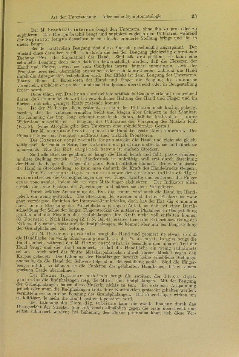 Der M. brachialis internus beugt den Unterarm, ohne ihn zu pro- oder zu supinieren. Der Biceps brachii beugt und supiniert zugleich den Unterarm, während der Supinator longus denselben in eine leicht pronierte Stellung bringt und ihn in dieser beugt. Bei der kraftvollen Beugung sind diese Muskeln gleichmäßig angespannt. Der Ausfall eines derselben verrät sich durch die bei der Beugung gleichzeitig eintretende Drehung (Pro- oder Supination) der Hand. Sind alle drei gelähmt, so kann eine schwache Beugung doch noch dadurch bewerkstelligt werden, daß die Flexoren der Hand und Finger, soweit sie vom Condylus intern, humeri entspringen, sowie der Pronator teres sich übermäßig anspannen oder sich kontrahieren, während die Hand durch die Antagonisten fcstgehalten wird. Der Effekt ist dann Beugung des Unterarms. Ebenso können die Extensoren der Hand und Finger die Beugung des Unterarms vermitteln, nachdem er proniert und das Handgelenk überstreckt oder in Beugestellung fixiert wurde. Diese schon von Duchenne beobachtete artifizielle Beugung erkennt man schnell daran, daß sie unmöglich wird bei gewöhnlicher Haltung der Hand und Finger und im übrigen mit sehr geringer Kraft zustande kommt. f »| Ist der M. biceps allein gelähmt, so kann der Unterarm noch kräftig gebeugt werden, aber die Kranken ermüden leicht und klagen über Schmerz in der Schulter. Die Lähmung des Sup. long. erkennt man leicht daran, daß bei kraftvoller — unter Widerstand ausgefiihrtor — Beugung des Unterarms der Vorsprung des Muskels fehlt (Fig. 8). Seine Atrophie gibt dem Unterarm eine spindelförmige Gestalt. Der M. supinator brevis supiniert die Hand bei gestrecktem Unterarm. Der Pronator teres und Pronator quadratus sind wirklich Pronatoren. Der Extensor carpi radialis longus streckt die Hand und zieht sie gleich- zeitig nach der radialen Seite, der Extensor carpi ulnaris streckt sie und führt sie ulnarwärts. Nur der Ext. carpi rad. brevis ist einfach Strecker. Sind alle Strecker gelähmt, so hängt die'Hand herab und fällt, passiv erhoben, in diese Stellung zurück. Der Händedruck ist unkräftig, weil erst durch Streckung der Hand die Beuger der Finger ihre ganze Kraft entfalten können. Bringt man passiv die Hand in Streckstellung, so kann man dadurch die Kraft des Händedrucks steigern. Der M. extensor digit. communis sowie der extensor indicis et digiti minimi strecken die Grundphalangen der vier Finger kräftig und entfernen die Finger etwas voneinander, indem sie sie vom Mittelfinger abduzieren. Der Indikator allein streckt die erste Phalanx des Zeigefingers und nähert sie dem Mittelfinger. Durch kräftige Anspannung des Ext. dig. comm. wird auch die Hand im Hand- gelenk ein wenig gestreckt. Die Streckung der zweiten und dritten Phalanx ist zwar ganz vorwiegend Funktion der Interossei-Lumbricales, doch hat der Ext. dig. communis auch an der Streckung der Mittelphalanx geringen Anteil, so daß bei einer Durch- schneidung der Seime der langen Fingerstrecker die mittleren Phalangen in Beugestcllung geraten und die Flexoren der Endphalangen ihre Kraft nicht voll entfalten können (0. Foerster). Nach Herzog (Z. f. N. Bd. 41) erstreckt sich die Extensionswirkung des Extcns. dig. comm. sogar auf die Endphalangen, sie kommt aber nur bei Beugestcllung der Gmndphalangen zur Geltung. Der M. flexor carpi radialis beugt die Hand und proniert sie etwas, so daß die Handfläche ein wenig ulnarwärts gewandt ist, der M. palmaris longus beugt die Hand einfach, während der M. flexor carpi ulnaris besonders den uhiaren Teil der Hand beugt und die Hand supiniert, so daß die Handfläche ein wenig radiahvärts schaut. Auch wird der fünfte Metakarpalknochen durch diesen Muskel gegen den Karpus gebeugt. Die Lähmung der Handbeuger bewirkt keine erhebliche Stellungs- anomalie, da die Hand der Schwere folgend in Beugestellung gerät. Sind die Finger- beuger intakt, so können sie die Funktion der gelähmten Handbeuger bis zu einem gewissen Grade übernehmen. Der Flexor digitorum sublimis beugt die zweiten, der Flexor digit. profundus die Endphalangen resp. die Mittel- und Endphalangen. Mit der Beugung •der Grundphalangen haben diese Muskeln nichts zu tun. Bei extremer Anspannung jedoch oder wenn die Endphalangen trotz ihrer Kontraktion gestreckt gehalten werden, vermitteln sie auch eine Beugung der Grundphalangen. Die Fingerbeuger wirken um so kräftiger, je mehr die Hand gestreckt gehalten wird. _jy. Bei Lähmung des Fl ex. dig. sublimis kann die zweite Phalanx durch das Übergewicht der Strecker (der Interossei) allmählich gegen die erste überstreckt und selbst subluxiert werden; bei Lähmung des Flexor profundus kann sich diese Ver-