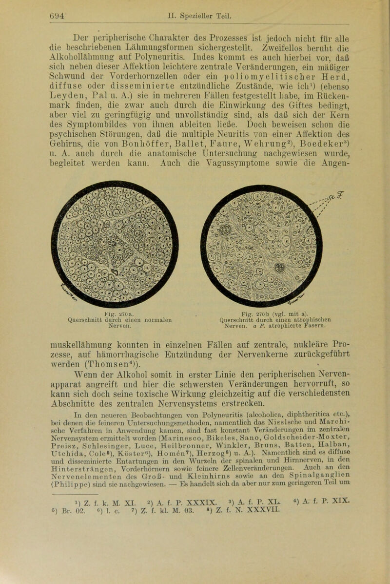 Der peripherische Charakter des Prozesses ist jedoch nicht für alle die beschriebenen Lähmungsformen sichergestellt. Zweifellos beruht die Alkohollähmung auf Polyneuritis. Indes kommt es auch hierbei vor, daß sich neben dieser Affektion leichtere zentrale Veränderungen, ein mäßiger Schwund der Vorderhornzellen oder ein poliomyelitischer Herd, diffuse oder disseminierte entzündliche Zustände, wie ich1) (ebenso Leyden, Pal u. A.) sie in mehreren Fällen festgestellt habe, im Rücken- mark finden, die zwar auch durch die Einwirkung des Giftes bedingt, aber viel zu geringfügig und unvollständig sind, als daß sich der Kern des Symptombildes von ihnen ableiten ließe. Doch beweisen schon die psychischen Störungen, daß die multiple Neuritis von einer Afl'ektion des Gehirns, die von Bonhöffer, Ballet, Faure, Wehrung2), Boedeker3) u. A. auch durch die anatomische Untersuchung nach gewiesen wurde, begleitet werden kann. Auch die Vagussymptome sowie die Augen- muskellähmung konnten in einzelnen Fällen auf zentrale, nukleäre Pro- zesse, auf hämorrhagische Entzündung der Nervenkerne zurückgeführt werden (Thomsen4)). Wenn der Alkohol somit in erster Linie den peripherischen Nerven- apparat angreift und hier die schwersten Veränderungen hervorruft, so kann sich doch seine toxische Wirkung gleichzeitig auf die verschiedensten Abschnitte des zentralen Nervensystems erstrecken. In den neueren Beobachtungen von Polyneuritis (alcoholica, diphtheritica etc.), bei denen die feineren Untersuchungsmethoden, namentlich das Nisslsche und Marchi- sehe Verfahren in Anwendung kamen, sind fast konstant Veränderungen im zentralen Nervensystem ermittelt worden (Marinesco, Bikeles, Sano, Goldscheider-Mo xter, Preisz, Schlesinger, Luce, Heilbronner, Winkler, Bruns, Batten, Halban, Utchida, Cole6), Köster“), Homen7), Herzog8) u. A.). Namentlich sind cs diffuse und disseminierte Entartungen in den Wurzeln der spinalen und Hirnnerven, in den Hintersträngen, Vorderhörnern sowie feinere Zellenveränderungen. Auch an den Nervenelementen des Groß- und Kleinhirns sowie an den Spinalganglien (Philippe) sind sie nachgewiesen. — Es handelt sich da aber nur zum geringeren Teil um i) Z. f. k. M. XI. 2) A. f. P. XXXIX. 3) A. f. P. XL. 4) A. f. P. XIX. 8) Br. 02. «) 1. c. 7) Z. f. kl. M. 03. 8) Z. f. N. XXXVII. Fig. 270 a. Querschnitt durch einen normalen Nerven. Fig. 270 b (vgl. mit a). Querschnitt durch einen atrophischen Nerven, a F. atrophierte Fasern.
