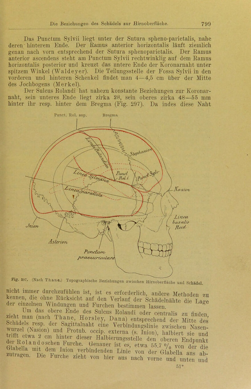 Das Punctum Sylvii liegt unter der Sutura spheno-parietalis, nahe deren hinterem Ende. Der .Ramus anterior horizontalis läuft ziemlich genau nach vorn entsprechend der Sutura sphenoparietalis. Der Ramus anterior ascendens steht am Punctum Sylvii rechtwinklig auf dem Ramus horizontalis posterior und kreuzt das untere Ende der Koronarnaht unter spitzem Winkel (Waldeyer). Die Teilungsstelle der Fossa Sylvii in den vorderen und hinteren Schenkel findet man 4—4,5 cm über der Mitte des Jochbogens (Merkel). Der Sulcus Rolandi hat nahezu konstante Beziehungen zur Koronar- naht, sein unteres Ende liegt zirka 28, sein oberes zirka 48—55 mm hinter ihr resp. hinter dem Bregma (Fig. 297). Da indes diese Naht Punct.. Rol. siip. Brp.gma Pig. 297. (Nach Thane.) Topographische Beziehungen zwischen Hirnoheifläche urnl Schädel Linea bas ah's Heid AsUrion■ Punclum> nicht immer durchzufühlen ist, ist es erforderlich, andere Methoden zu kennen, die ohne Rücksicht auf den Verlauf der Schädelnähte die Däne dei einzelnen Windungen und Furchen bestimmen lassen. Um das obere Ende des Sulcus Rolandi oder centralis zu finden ( ! oane’ Horsley, Dana) entsprechend der Mitte des S hadels resp. der Sagittalnakt eine Verbindungslinie zwischen Nasen- wurzel (Nasion) und Protub. occip. externa (s. Inion), halbiert sie und der PniWa ? lunJ:er 1dieser Halbierungsstelle den oberen Endpunkt nthi!an(loschen Furche. Genauer ist es, etwa 55.7 o/ von d£. dj Glabella mit dem Imon verbindenden Linie von der Glabella aus ab zuo-age,. Die Furche zieht von hier aus nach vorne „nd unten mi 51*