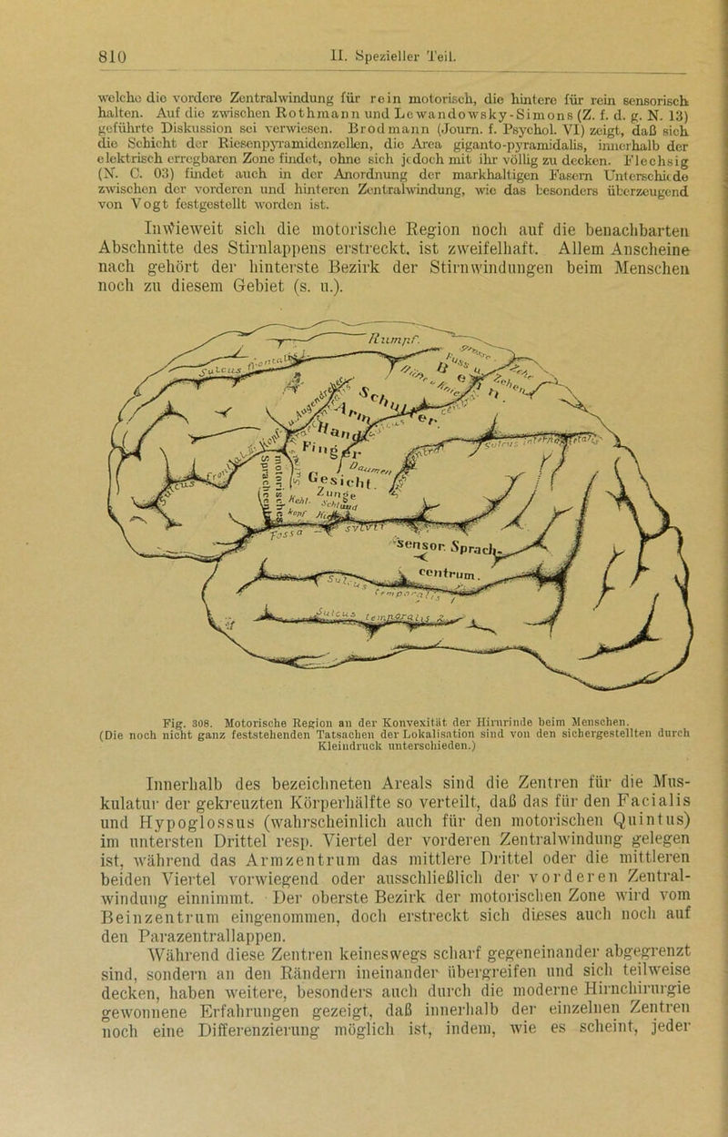 welche die vordere Zentralwindung für rein motorisch, die hintere für rein sensorisch halten. Auf die zwischen Rothmann und Lewandowsky-Simons (Z. f. d. g. N. 13) geführte Diskussion sei verwiesen. Brodmann (Journ. f. Psychol. VI) zeigt, daß sich die Schicht der Ricsonpyramidenzellen, die Area giganto-pyramidalis, innerhalb der elektrisch erregbaren Zone findet, ohne sich jedoch mit ihr völlig zu decken. Flechsig (hf. C. 03) findet auch in der Anordnung der markhaltigen Fasern Unterschiede zwischen der vorderen und hinteren Zentralwindung, wie das besonders überzeugend von Vogt festgestellt worden ist. Inwieweit sich die motorische Region noch auf die benachbarten Abschnitte des Stirnlappens erstreckt, ist zweifelhaft. Allem Anscheine nach gehört der hinterste Bezirk der Stirnwindungen beim Menscheu noch zu diesem Gebiet (s. u.). Riunp.f'. Sensor. Spra V eentrum. Fig. 308. Motorische Region an der Konvexität, der Hirnrinde beim Menschen. (Die noch nicht ganz feststehenden Tatsachen der Lokalisation sind von den sicbergestellten durch Kleindruck unterschieden.) Innerhalb des bezeichneten Areals sind die Zentren für die Mus- kulatur der gekreuzten Körperhälfte so verteilt, daß das für den Facialis und Hypoglossus (wahrscheinlich auch für den motorischen Quintus) im untersten Drittel resp. Viertel der vorderen Zentralwindung gelegen ist, während das Armzentrum das mittlere Drittel oder die mittleren beiden Viertel vorwiegend oder ausschließlich der vordereil Zentral- windung einnimmt. Der oberste Bezirk der motorischen Zone wird vom Beinzentrum eingenommen, doch erstreckt sich dieses auch noch auf den Parazentrallappen. Während diese Zentren keineswegs scharf gegeneinander abgegrenzt sind, sondern an den Rändern ineinander übergreifen und sich teilweise decken, haben weitere, besonders auch durch die moderne Hirnchirurgie gewonnene Erfahrungen gezeigt, daß innerhalb der einzelnen Zentren noch eine Differenzierung möglich ist, indem, wie es scheint, jeder