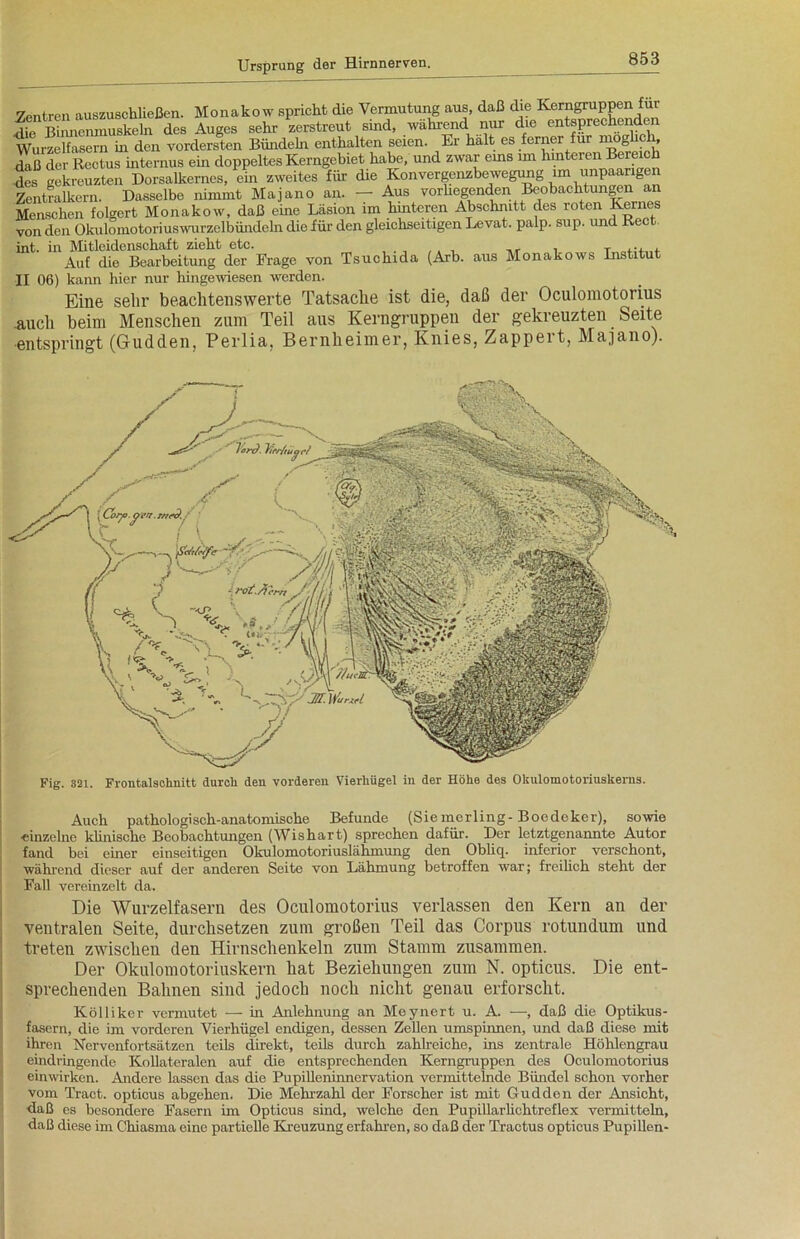 Zentren auszuschließen. Monakow spricht die Vermutung aus, daß die Kerngruppen für fe Sienmu'keln des Auges sehr zerstreut sind, während nur che entspechenden Wurzelfasern in den vordersten Bündeln enthalten seien. Er halt es ferner für moghch, daß der Rectus internus ein doppeltes Kerngebiet habe, und zwar eins im hinteren Bere h des gekreuzten Dorsalkernes, ein zweites für die Konvergenzbewegung im unpaarigen Zentralkern. Dasselbe nimmt Majano an. — Aus vorhegenden Beobachtungen an Menschen folgert Monakow, daß eine Läsion im hinteren Abschnitt des roten fernes von den Okulomotoriuswurzelbündeln die für den gleichseitigen Levat. palp. sup. und Reet int. in Mitleidenschaft zieht etc. ,, , T .... Auf die Bearbeitung der Frage von Tsuchida (Arb. aus Monakows Institut II 06) kann hier nur hingewiesen werden. Eine sehr beachtenswerte Tatsache ist die, daß der Oculomotorius .auch beim Menschen zum Teil aus Kerngruppen der gekreuzten Seite •entspringt (Gudden, Perlia, Bernheimer, Knies, Zappert, Majano). Fig. 321. Frontalschnitt durch den vorderen Vierhügel in der Höhe des Okulomotoriuskerns. Auch pathologisch-anatomische Befunde (Sie merling-Boedeker), sowie einzelne klinische Beobachtungen (Wishart) sprechen dafür. Der letztgenannte Autor fand bei einer einseitigen Okulomotoriuslähmung den Obliq. inferior verschont, während dieser auf der anderen Seite von Lähmung betroffen war; freiüch steht der Fall vereinzelt da. Die Wurzelfasern des Oculomotorius verlassen den Kern an der ventralen Seite, durchsetzen zum großen Teil das Corpus rotundum und treten zwischen den Hirnschenkeln zum Stamm zusammen. Der Okulomotoriuskern hat Beziehungen zum N. opticus. Die ent- sprechenden Bahnen sind jedoch noch nicht genau erforscht. Kölliker vermutet — in Anlehnung an Meynert u. A. —, daß die Optikus- fasern, die im vorderen Vierhügel endigen, dessen Zellen umspinnen, und daß diese mit ihren Nervenfortsätzen teils direkt, teils durch zahlreiche, ins zentrale Höhlengrau eindringende Kollateralen auf die entsprechenden Kerngruppen des Oculomotorius einwirken. Andere lassen das die Pupilleninnervation vermittelnde Bündel schon vorher vom Tract. opticus abgehen. Die Mehrzahl der Forscher ist mit Gudden der Ansicht, •daß es besondere Fasern im Opticus sind, welche den Pupillarlichtreflex vermitteln, daß diese im Chiasma eine partielle Kreuzung erfahren, so daß der Tractus opticus Pupillen-
