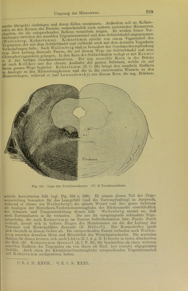 . .‘ihprfreliti eindringen und deren Zellen umspinnen. Außerdem soll sie Kollate- marlvs ubergeW) emcmngen wahrsehcmUch auch anderer motorischer Hn-nneryen Trigemhius, der mit dem Solitärbündel und vielleicht auch mit dem dorsalen Vaguskern ^ f * 1 u IVnrli Wallenbere sind cs besonders der Crescbmacksemptindung ÄrifaSSirj»»;? ,i»- :i tilsonharvngeuskern gelangen. In den Kern des Sohtärbundels verlegt er mit Kramer ^^^^das^^bl^e^Geschmacks^ptrum. Der sog. sensible Kern m der Brücke ist nach Ivölliker nur der oberste Ausläufer der grauen Substanz, welche sie auf S-em ganten Wege begleitet. Kohnstamm (N. C. 05) bringt den sensibeln Endkern in Analogie zu den Hinterstrangkemen und die in ihn eintretenden Wurzein zu den Hintersträngen, während er (mit Lewandowsky) aus diesem Kern die sog. Brucken- Fig. 32G. Lage des Troclileariskerns. IV. K Troclileariskern. schleife hervortreten läßt (vgl. Fig. 335 u. 336). Er nimmt diesen Teil der (Trige- minusjeitung besonders für das Lagegefühl (und die Tastempfindung) in Anspruch, während er ebenso wie Wal len berg1) die spinale Wurzel und ihre graue Substanz als Analogon der Hinterhorn-Vorderseitenstrangbahn des Bückenmarks ausschließlich der Schmerz- und Temperaturleitung dienen läßt Wallenberg nimmt an, daß auch Tastsinnfasern in ihr verlaufen. Die aus ihr entspringende sekundäre Trige- minusbahn, die nach Kohnstamm im Tractus bulbothalamicus bzvr. Eascic. Foreli verläuft, kreuzt sich in tieferen Etagen des Hirnstammes als die der Leitung des Tastsinns und Muskelgefühles dienende (E. Müller2)). Der Kornealreflex spielt sich ebenfalls in diesem Gebiet ab. Die entsprechenden Fasern verlaufen nach Wal len - berg zwischen dorsalem Horn und Mittelstück des Wurzelquerschnitts. Die zentralen Bahnen für diesen kreuzen sich nach Lüdin (Z. f. d. g. N. I) bereits in tiefen Abschnitten der Med. obl. Kohnstamm-Quensel (A. f. P. Bd. 44) beschreiben als ehren weiteren sensiblen Endkern des Trigeminus ein von ihnen als Kucl. loci coerulei abgegrenztes Gebilde. Auch einen der Kleinhirnseitenstrangbahn entsprechenden Trigeminusanteil will Kohnstamm nachgewiesen haben. J) Z. f. X. XXVII. 2) Z. f. X. XXXT.