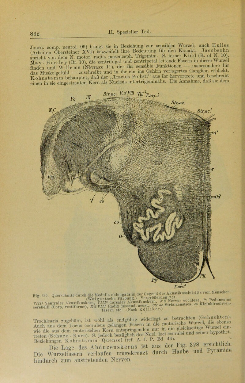 Journ comp, neurol. 09) bringt sie in Beziehung zur sensiblen Wurzel; auch Hulles (Arbeiten Obersteiner XVI) bezweifelt ihre Bedeutung für den Kauakt. Jacobsohn spricht von dem N. motor. radic. mcsenceph. Trigemini. S. ferner Kidd (R. of A. 10), Mav - Horsley (Br. 10), die zentrifugal und zentripetal leitende Fasern in dieser W urzel finden und Willems (N6vraxe 11), der ihr sensible Funktionen — insbesondere für das Muskelgefühl — zuschreibt und in ihr ein ins Gehirn verlagertes Ganghon erblickt, Kolinstamm behauptet, daß der „Tractus Probsti“ aus ihr hervortrete und beschreibt einen in sie eingestreuten Kern als Nucleus intertrigeminalis. Die Annahme, daß sie dem F.arc.3 Fig. 330. Querschnitt durch die Medulla oblongata in der Gegend des Jtkustikuseintritts vom Menschen. „„■« „.uUÄJÄÄ cerebelli (Corp. restiforme), R d 7111 Radix descend. neust., Sh ac Stria acusuca, fasern etc. (Nach Kölnker.; Trochlearis zugehöre, ist wohl als endgültig widerlegt zu ' ‘ . j f|jc e^cnso Auch aus dem Locus coeruleus gelangen Fasern m die mo o \yurzei ein- wie die aus dem motorischen Kern entspringenden nur in die g • m-pothet. treten (Schuzo - Kure). S. jedoch bezüglich des Nucl. loci cocrulei und semei hj-pothet. Beziehungen Kohnstamm - Quensel (ref. A. f. P- Bd. 4 ). . , Die Lage des Abduzenskerns ist aus der Fig. 328 eraebüteb. Die Wurzeifasera verlaufen umgekreuzt durch Haube und Pyramide hindurch zum austretenden Nerven.