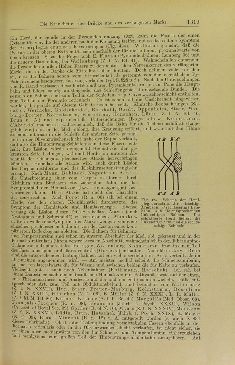 AB BA' Ein Herd, der gerade in der Pyramidenkreuzung sitzt, kann die hasern der einen Extremität vor, die der anderen nach der Kreuzung treffen und so das seltene Symptom der Hemiplegia cruciata hervorbringen (Fig. 424). Wallenberg meint, daß die Py-Fasern der oberen Extremität sich oberhalb der für die unteren, proximalwärts von ihnen kreuzen. S. zu der Frage auch E. Flatau (Pyramidenbahnen, Lemberg 06) und ■die neueste Darstellung bei Wallenberg (Z. f. N. Bd. 41). Wahrscheinlich entsenden die Pyramiden in allen Höhen Fasern zu den motorischen Nervenkernen des verlängerten Marks die in der Raphe die Mittellinie überschreiten. Doch nehmen viele Forscher an daß die Bahnen schon vom Himschenkel ab getrennt von der eigentlichen Py- Bahn in einem besonderen Faserzug verlaufen (vgl. S. 828 u. f.). Nach den Untersuchungen von R. Sand verlassen diese kortikobulbärcn Pyramidenfasern erst im Pons die Haupt- bahn und bilden schräg aufsteigende, das Schleifengebiet durchsetzende Bündel. Die sensiblen Bahnen sind zum Teil in der Schleifen- resp. Ohvenzwischenschicht enthalten, zum Teil in der Formatio reticularis. Es ist schon auf die Unsicherheit hingewiesen worden, die gerade auf diesem Gebiete noch herrscht. Klinische Beobachtungen (Se- nator, Wernicke, Goldscheider, Rcinhold, Oordt, Oppenheim, Starr, Mar- burg-Breuer, Kohnstanim, Rossolimo, Henschen, Lüdin, Z. f. N. Bd. 40, Brun u. A.) und experimentelle Untersuchungen (Bogatschow, Kohnstamm, d’Abundo) machen es wahrscheinlich, daß die Bahn für die liefensensibilität (Lage- gefiihl etc.) erst in der Med. oblong, ihre Kreuzung erfährt, und zwar mit den Fibrae arcuatae internae in die Schleife der anderen Seite gelangt und in der Olivenzwischenschicht nahe der Raphe verläuft, daß also die Hinterstrang-Schleifenbahn diese Fasern ent- hält; ihre Läsion würde demgemäß Hemiataxie der ge- kreuzten Seite bedingen, während Herde im unteren Ab- schnitt der Oblongata gleichseitige Ataxie hervorbringen könnten. Homolaterale Ataxie wird auch durch Läsion des Corpus restiforme und der Kleinhirnseitenstrangbahn erzeugt. Nach Mann, Babinski, Nageottc u. A. ist es die Unterbrechung einer vom Corpus restiforme durch Kleinhirn zum Bindearm etc. ziehenden Bahn, die das Symptombild der Hemiataxie (bzw. Hemiasyncrgie) her- vorbringen kann. Diese Ataxie hat nicht den Charakter der sensorischen. Auch Porot (R. n. 06) sah bei einem Herde, der den oberen Kleinhirnstiel durchsetzte, das Symptom der Hemiataxie und Hemiasynergie. Ebenso vermag die Läsion dieser Teile zerebellare Ataxie (auch Nystagmus und Schwindel?) zu verursachen u. Brun wollen das Symptom der Ataxie weniger von einer •einzelnen geschlossenen Bahn als von der Läsion eines kom- plizierten Reflexbogens ableiten. Die Bahnen für Schmerz- und Temperatursinn smd schon im unteren Abschnitt der Med. obl. gekreuzt und in der Formatio reticularis (ihrem ventrolateralen Abschnitt, wahrscheinlich in den Fibrae spino- thalamicae und spinotectales [Edinger, Wallenberg, Kohnstamm] bzw. in einem Teil des Fasciculus spinocerebellaris ventralis [Gowers]) enthalten. Nach Monakow - Brun sind die entsprechenden Leitungsbahnen auf cm viel ausgedehnteres Areal verteilt, als im -allgemeinen angenommen wird. — Am meisten medial scheint die Schmerzsinnbahn, am meisten laterahvärts die für Wärme und zwischen beiden die für Kälte zu verlaufen. Vielleicht gibt es auch noch Nebenbahnen (Rothmann, Hatschek). Ich sah bei einem Diabetiker nach einem Insult eine Hemiataxie mit Bathyanästhesie auf der einen, eine Thermanästhesie und Analgesie auf der anderen Seite sich entwickeln. Fähe ent- sprechender Art, zum Teil mit Obduktionsbefund, sind besonders von Wallenberg (Z. f. N. XXVII), Hun, Starr, Breuer - Mar bürg, Kohnstamm, Rossolimo <Z. f. N. XXIII), Henschen (N. C. 06), E. Müller (Z. f. N. XXXI), L. R. Müller •(A. 1. kl. M. Bd. 86), Ktitner - Kramer (A. f. P. Bd. 42), Margulies (Med. Obosr. 08), I ran ?ais -Jacques (R. n. 08), Economo (Jahrb. f. Psych. XXXII), Wilson • Procccd. of Royal Soc. 09). Spiller (R. of N. 10), Mauss (Z. f. N. XXXIV), Monakow (Z. f. N. XXXVI), Lüdin, Brun, Hatschek (Jahrb. f. Psych. XXIX), R. Meyer (X C. 09), Brault-Vinccnt (R. n. 12) u. A. mitgeteilt worden (s. auch S. 834 oieses Lehrbuchs). Ob die die Tastempfindung vermittelnden'Fasern ebenfalls in der l'ormatio reticularis oder in der Olivenzwisehenschicht. verlaufen, ist nicht sicher, sie Schemen aber medianwärts von den für Schmerz- und Temperatursinn einherzuziehen uncl wenigstens zum großen Teil der Hinterstrangschleifenbalm anzugehören. Aut BA’ A B Fig. 424. Schema der Hemi- plegia cruciata. A rechtsseitige Armbahn. B rechtsseitige Bein- bahn. Al B' die entsprechenden W*“ WU” linksseitigen Bahnen. Der JUOnaKOW schraffierte Herd lädiert die linksseitige Arm-und die rechts- seitige Beinbalm.