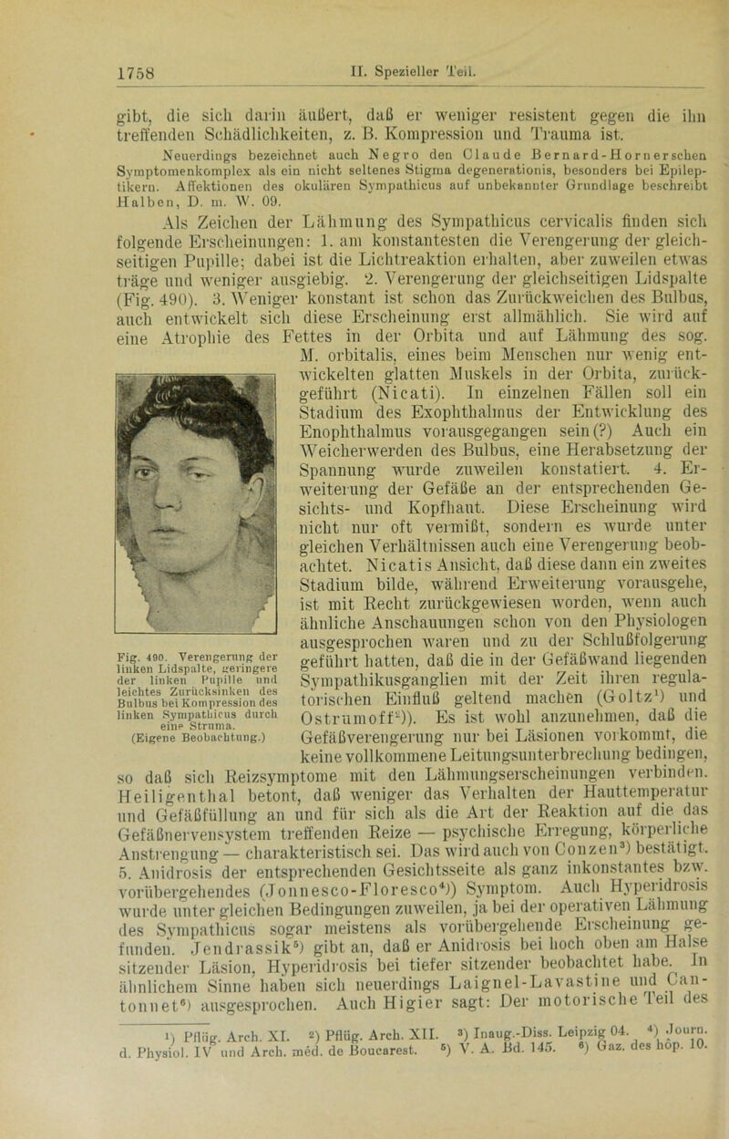 gibt, die sich darin äußert-, daß er weniger resistent gegen die ihn treffenden Schädlichkeiten, z. B. Kompression und Trauma ist. Neuerdings bezeichnet auch Negro den Claude Bernard-Hornerschen Symptomenkomplex als ein nicht seltenes Stigma degenerationis, besonders bei Epilep- tikern. A Rektionen des okulären Sympathicus auf unbekannter Grundlage beschreibt Halben, D. m. W. 09. Als Zeichen der Lähmung des Sympathicus cervicalis finden sich folgende Erscheinungen: 1. am konstantesten die Verengerung der gleich- seitigen Pupille; dabei ist die Lichtreaktion erhalten, aber zuweilen etwas träge und weniger ausgiebig. 2. Verengerung der gleichseitigen Lidspalte (Fig. 490). 3. Weniger konstant ist schon das Zurückweichen des Bulbus, auch entwickelt sich diese Erscheinung erst allmählich. Sie wird auf eine Atrophie des Fettes in der Orbita und auf Lähmung des sog. M. orbitalis, eines beim Menschen nur wenig ent- wickelten glatten Muskels in der Orbita, zurück- geführt (Nieati). In einzelnen Fällen soll ein Stadium des Exophthalmus der Entwicklung des Enophthalmus vorausgegangen sein(?) Auch ein Weicherwerden des Bulbus, eine Herabsetzung der Spannung wurde zuweilen konstatiert, 4. Er- weiterung der Gefäße an der entsprechenden Ge- sichts- und Kopfhaut. Diese Erscheinung wird nicht nur oft vermißt, sondern es wrurde unter 3» _ gleichen Verhältnissen auch eine Verengerung beob- T* ' A achtet. Nicatis Ansicht, daß diese dann ein zweites Stadium bilde, während Erweiterung vorausgehe, ist mit Recht zurückgewiesen werden, -wenn auch ähnliche Anschauungen schon von den Physiologen ausgesprochen waren und zu der Schlußfolgerung geführt hatten, daß die in der Gefäßwand liegenden Sympathikusganglien mit der Zeit ihren regula- torischen Einfluß geltend machen (Goltz1) und Ostrumoff2)). Es ist wohl anzunehmen, daß die Gefäßverengerung nur bei Läsionen vorkommt, die keine vollkommene Leitungsunterbrechung bedingen, so daß sich Reizsymptome mit den Lähmungserscheinungen verbinden. Heiligenthal betont, daß weniger das Verhalten der Hauttemperatur und Gefäßfüllung an und für sich als die Art der Reaktion auf die das Gefäßnervensystem treffenden Reize — psychische Erregung, körperliche Anstrengung — charakteristisch sei. Das wird auch von Gonzen3) bestätigt. 5. Anidrosis der entsprechenden Gesichtsseite als ganz inkonstantes bzw. vorübergehendes (Jonnesco-Floresco4)) Symptom. Auch Hyperidrosis wurde unter gleichen Bedingungen zuweilen, ja bei der operativen Lähmung des Sympathicus sogar meistens als vorübergehende Erscheinung ge- funden. Jendrassik5) gibt an, daß er Anidrosis bei hoch oben am Halse sitzender Läsion, Hyperidrosis bei tiefer sitzender beobachtet habe In ähnlichem Sinne haben sich neuerdings Laignel-Lavastme und Can- tonnet6) ausgesprochen. Auch Hi gier sagt: Der motorische l eil des Fig. 490. Verengerung der linken Lidspalte, geringere der linken Pupille und leichtes Zurücksinken des Bulbus bei Kompression des linken Sympathicus durch eine Struma. (Eigene Beobachtung.) i) Pflüg. Arch. XI. *) Pflüg. Arch. XII. ®) Inaug.-Diss. Leipzig 04. 4) -Journ.