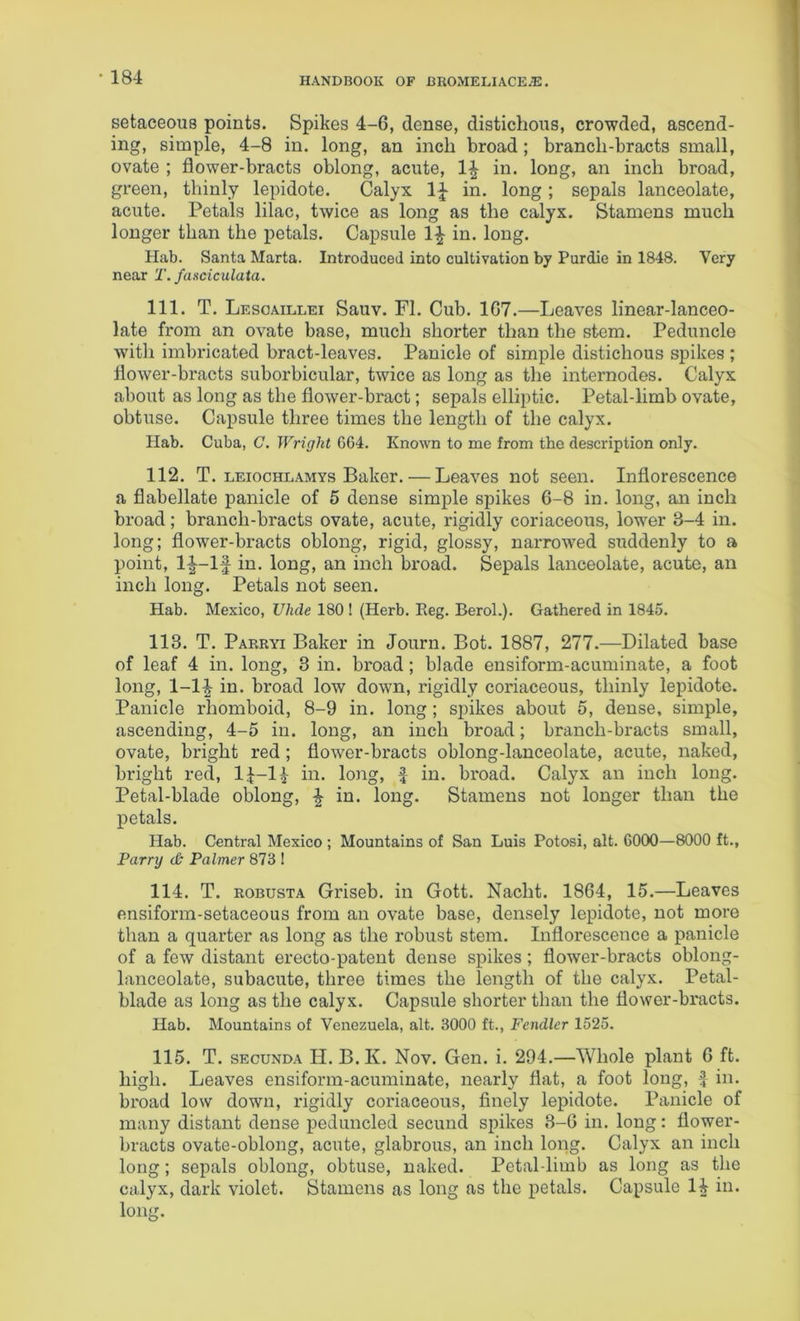 setaceous points. Spikes 4-6, dense, distichous, crowded, ascend- ing, simple, 4-8 in. long, an inch broad; branch-bracts small, ovate ; flower-bracts oblong, acute, 1| in. long, an inch broad, green, thinly lepidote. Calyx 1^ in. long; sepals lanceolate, acute. Petals lilac, twice as long as the calyx. Stamens much longer than the petals. Capsule 1|- in. long. Hab. Santa Marta. Introduced into cultivation by Purdie in 1848. Very near T. faxciculata. 111. T. Lesoaillei Sauv. FI. Cub. 167.—Leaves linear-lanceo- late from an ovate base, much shorter than the stem. Peduncle with imbricated bract-leaves. Panicle of simple distichous spikes ; flower-bracts suborbicular, twice as long as the internodes. Calyx about as long as the flower-bract; sepals elliptic. Petal-limb ovate, obtuse. Capsule three times the length of the calyx. Ilab. Cuba, C. Wright 664. Known to me from the description only. 112. T. LEiocHLAMYs Baker. — Leaves not seen. Inflorescence a flabellate panicle of 5 dense simple spikes 6-8 in. long, an inch broad; branch-bracts ovate, acute, rigidly coriaceous, lower 3-4 in. long; flower-bracts oblong, rigid, glossy, narrowed suddenly to a point, 1^-lf in. long, an inch broad. Sepals lanceolate, acute, an inch long. Petals not seen. Hab. Mexico, Vlule 180 1 (Herb. Eeg. BeroL). Gathered in 1845. 113. T. Pareyi Baker in Journ. Bot. 1887, 277.—Dilated base of leaf 4 in. long, 3 in. broad; blade ensiform-acuminate, a foot long, 1-li in. broad low down, rigidly coriaceous, thinly lepidote. Panicle rhomboid, 8-9 in. long; spikes about 5, dense, simple, ascending, 4-5 in. long, an inch broad; branch-bracts small, ovate, bright red; flower-bracts oblong-lanceolate, acute, naked, bright red, l^-li in. lo3ig, | in. broad. Calyx an inch long. Petal-blade oblong, ^ in. long. Stamens not longer than the petals. Hab. Central Mexico ; Mountains of San Luis Potosi, alt. 6000—8000 ft., Parry dt Palmer 873 I 114. T. ROBusTA Griseb. in Gott. Nacht. 1864, 15.—Leaves ensiform-setaceous from an ovate base, densely lepidote, not more than a quarter as long as the robust stem. Inflorescence a panicle of a few distant erecto-patent dense spikes; flower-bracts oblong- lanceolate, subacute, three times the length of the calyx. Petal- blade as long as the calyx. Capsule shorter than the flower-bracts. Hab. Mountains of Venezuela, alt. 3000 ft., Fendlcr 1525. 115. T. sEcuNDA H. B. K. Nov. Gen. i. 294.—Whole plant 6 ft. high. Leaves ensiform-acuminate, nearly flat, a foot long, f in. broad low down, rigidly coriaceous, finely lepidote. Panicle of many distant dense peduncled secund spikes 3-6 in. long: flower- bracts ovate-oblong, acute, glabrous, an inch long. Calyx an inch long; sepals oblong, obtuse, naked. Petal-limb as long as the calyx, dark violet. Stamens as long as the petals. Capsule 1^ in. long.