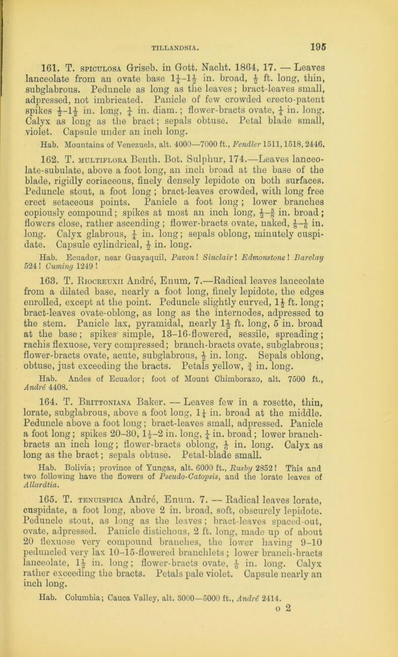 161. T. spicuLosA Griseb. in Gott, Naclit. 1864, 17. — Leaves lanceolate from an ovate base 1|—1^ in. broad, ^ ft. long, thin, subglabrous. Peduncle as long as the leaves; bract-leaves small, adpressed, not imbricated. Panicle of few crowded erecto-patent spikes -^-1^ in. long, in. diam.; flower-bracts ovate, ^ in. long. Calyx as long as the bract; sepals obtuse. Petal blade small, violet. Capsule under an inch long. Hab. Mountains of Venezuela, alt. 4000—7000 ft., Fendler 1511,1518, 2446. 162. T. MULTiFuoRA Beiitli. Bot. Sulphur, 174.—Leaves lanceo- late-subulate, above a foot long, an inch broad at the base of the blade, rigidly coriaceous, finely densely lepidote on both surfaces. Peduncle stout, a foot long ; bract-leaves crowded, with long free erect setaceous points. Panicle a foot long; lower branches copiously compound; spikes at most an inch long, in. broad; flowers close, rather ascending ; flower-bracts ovate, naked, in. long. Calyx glabrous, ^ in. long; sepals oblong, minutely cuspi- date. Capsule cylindrical, i in. long. Hab. Ecuador, near Guayaquil, Pavonl Sinclair \ Edmonstonel Barclay 524! Cuming 1249 ! 163. T. Eiocreuxii Andre, Enum, 7.—Radical leaves lanceolate from a dilated base, nearly a foot long, finely lepidote, the edges enrolled, except at the point. Peduncle slightly curved, 1|- ft. long; bract-leaves ovate-oblong, as long as the internodes, adpressed to the stem. Panicle lax, pyramidal, nearly 1^ ft. long, 5 in. broad at the base; spikes simple, 13-16-flowered, sessile, spreading; rachis flexuose, very compressed; branch-bracts ovate, subglabrous; flower-bracts ovate, acute, subglabrous, in. long. Sepals oblong, obtuse, just exceeding the bracts. Petals yellow, f in. long. Hab. Andes of Ecuador; foot of Mount Chimborazo, alt. 7500 ft., Andre 4408. 164. T. Brittoniana Baker. — Leaves few in a rosette, thin, lorate, subglabrous, above a foot long, 1:^ ii4. broad at the middle. Peduncle above a foot long; bract-leaves small, adpressed. Panicle a foot long; spikes 20-30, H-2 in. long, i in. broad; lower branch- bracts an inch long; flower-bracts oblong, ^ in. long. Calyx as long as the bract; sepals obtuse. Petal-blade small. Hab. Bolivia; province of Yungas, alt. 6000 ft.. Rushy 2852! This and two following have the flowers of Pseudo-Catopsis, and the lorate leaves of Allardtia. 165. T. TENuispicA Andre, Enum. 7. — Radical leaves lorate, cuspidate, a foot long, above 2 in. broad, soft, obscurely lepidote. Peduncle stout, as long as the leaves; bract-leaves spaced-out, ovate, adpressed. Panicle distichous, 2 ft. long, made up of about 20 flexuose very compound branches, the lower having 9-10 pedimcled very lax 10-15-flowered branchlets ; lower branch-bracts lanceolate, 1^ in. long; flower-bracts ovate, ^ in. long. Calyx rather exceeding the bracts. Petals pale violet. Capsule nearly an inch long. Hab. Columbia; Cauca Valley, alt. 3000—5000 ft., A7ulr6 2414. o 2