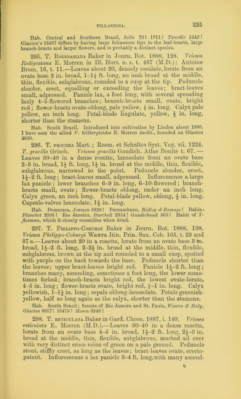 Hab. Central and Southern Brazil, Sello 70! IHll! Twcedie 1342! Glaziou’s 164G7 differs by having large foliaceous tips to the leaf-bracts, large branch-bracts and larger flowers, and is probably a distinct species. 295. T. Eodigasiana Baker in Journ. Bot. 1888, 128. Vriesea EoiUgasiana E. Morren in 111. Ilort. n. s. t. 467 (M.D.); Antoine Brom. 16, t. 11.—Leaves about 20, densely rosulate, lorate from an ovate base 2 in. broad, 1-11 ft. long, an inch broad at the middle, thin, flexible, subglabrous, rounded to a cusp at the tip. Peduncle slender, erect, equalling or exceeding the leaves; bract-leaves small, adpressed. Panicle lax, a foot long, with several spreading laxly 4-5-flowered branches; branch-bracts small, ovate, bright red; flower-bracts ovate-oblong, pale yellow, i in. long. Calyx pale yellow, an inch long. Petal-blade liugulate, yellow, ^ in. long, shorter than the stamens. Hab. South Brazil. Introduced into cultivation by Linden about 1880. I have seen the allied V. billbergioides E. Morren inedit., founded on Glaziou 3630. 296. T. PROCERA Mart.; Koem. et Schultes Syst. Veg. vii. 1224. T. gracilis Griseb. Vriesea gracilis Gaudich. Atlas Bonite t. 67. — Leaves 80-40 in a dense rosette, lanceolate from an ovate base 2-3 in. broad, 1^ ft. long, 1^ in. broad at the middle, thin, flexible, subglabrous, narrowed to the point. Peduncle slender, erect, 1^-2 ft. long; bract-leaves small, adpressed. Inflorescence a large lax panicle ; lower branches 6-9 in. long, 6-10-fiowered ; branch- bracts small, ovate; flower-bracts oblong, under an inch long. Calyx green, an inch long. Petal-blade yellow, oblong, ^ in. long. Capsule-valves lanceolate, in. long. Hab. Demerara, Jcrtnmi 3828! Pernambuco, Ridley d'Ramage I Bahia» Blanchet 2995 ! Kio Janeiro, Burchell 2354! Gaudichaud 865! Habit of !'• Jlexuosa, which it closely resembles when dried. 297. T. Philippo-Coburgi Baker in Journ. Bot. 1888, 138. Vriesea Philippo-Coburgi Wawra Itin. Prin. Sax. Cob. 165, t. 29 and 87 a.—Leaves about 20 in a rosette, lorate from an ovate base 3 m. broad, 1^-2 ft. long, 2-2^ in. broad at the middle, thin, flexible, subglabrous, brown at the tip and rounded to a small cusp, spotted with purple on the back towards the base. Peduncle shorter than the leaves; upper bract-leaves bright red. Panicle 1^-2 ft. long ; branches many, ascending, sometimes a foot long, the lower some- times forked; branch-bracts bright red, the lowest ovate-lorate, 4-5 in. long; flower-bracts ovate, bright red, ^-1 in. long. Calyx yellowish, 1-1:^ in. long; sepals oblong-lanceolate. Petals greenish- yellow, half as long again as the calyx, shorter than the stamens. Hab. South Brazil; forests of Rio Janeiro and St. Paulo, Wawra d' Maly, Glaziou 80n\ 16473! il/osea 3248 ! 298. T. RETICULATA Baker in Gard. Chron. 1887, i. 140. Vriesea reticulata E. Morren (M.D.).—Leaves 30-40 in a dense rosette, lorate from an ovate base 4-5 in. broad, 1^-2 ft. long, 2^-3 in. broad at the middle, thin, flexible, subglabrous, mai'ked all over with very distinct cross-veins of green on a pale ground. Peduncle stouL stiftly erect, as long as the leaves; bract-leaves ovate, erecto- patent. Inflorescence a lax panicle 3-4 ft. long,with many ascend- Q