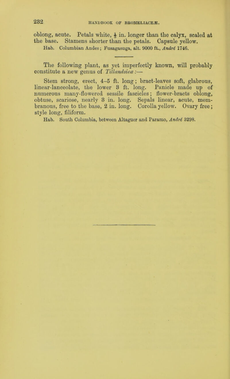 282 oblong, acute. Petals white, ^ in. longer than the calyx, scaled at the base. Stamens shorter than the petals. Capsule yellow. Hab. Columbian Andes; Fusagasuga, alt. 9000 ft., Andr6 1746. The following plant, as yet imperfectly known, will probably constitute a new genus of TilUmdsiea:—• Stem strong, erect, 4-5 ft. long ; bract-leaves soft, glabrous, linear-lanceolate, the lower 3 ft. long. Panicle made up of numerous many-flowered sessile fascicles; flower-bracts oblong, obtuse, scariose, nearly 3 in. long. Sepals linear, acute, mem- branous, free to the base, 2 in. long. Corolla yellow. Ovary free; style long, filiform. Hab. South Columbia, between Altaguer and Paramo, Andr€ 3298.