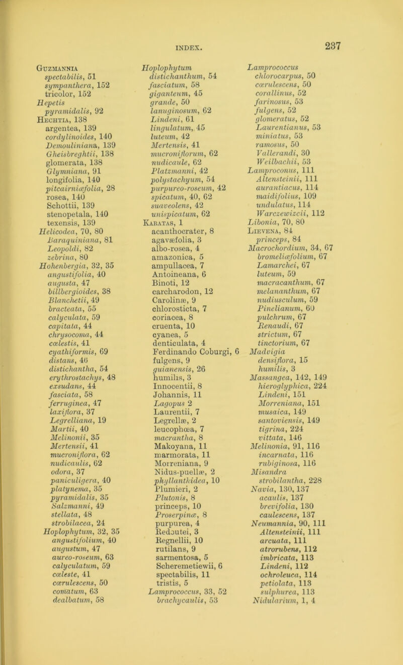 Gdzmannia spectabilis, 51 sympanthera, 152 tricolor, 152 Hepetis pyramidalis, 92 Hechtia, 138 argentea, 139 cordylinoides, 140 Demoulinian&, 139 Gheisbreyhtii, 138 glomerata, 138 Glymniana, 91 longifolia, 140 pitcainiicefolia, 28 rosea, 140 Schottii, 139 stenopetala, 140 texensis, 139 Helicodea, 70, 80 Baraquiniana, 81 Leopoldi, 82 zebrina, 80 Hohenbergia, 32, 35 anguatifolia, 40 augusta, 47 billbergioides, 38 BlancJietii, 49 bracteata, 55 calyculata, 59 capitata, 44 chrysocoma, 44 ccelestis, 41 cyathiformis, 69 distans, 4(i distichantha, 54 erythrostacJiys, 48 exsudam, 44 fasciata, 58 ferruginea, 47 laxijiora, 37 Legrelliam, 19 Martii, 40 Melinonii, 35 Mertensii, 41 mucronijiora, 62 nudicaulis, 62 odor a, 37 paniculigera, 40 platynevui, 35 pyramidalis, 35 Salzmanni, 49 stellata, 48 strobilacea, 24 Hoplophytum, 32, 35 angustijolium, 40 augiistum, 47 aureo-roseum, 63 calycidatnm, 59 cozleste, 41 carulescens, 50 comatum, 63 dealbatum, 58 Hoplophytum distichaiUhitm, 54 fasciatum, 58 gigantemn, 45 grande, 50 lamiginosum, 62 Lindeni, 61 lingulatum, 45 lutemn, 42 Mertensis, 41 mucronijlorum, 62 nudicaule, 62 Flatzmanni, 42 polystachyum, 54 purpureo-roseum, 42 spicatum, 40, 62 suaveolens, 42 unispicatum, 62 Kaeatas, 1 acanthocrater, 8 agavaefolia, 3 albo-rosea, 4 amazonica, 5 ampullacea, 7 Antoineana, 6 Binoti, 12 carcharodon, 12 Carolinse, 9 clilorosticta, 7 coriacea, 8 cruenta, 10 cyanea, 5 denticulata, 4 Ferdinando Coburgi, 6 fulgens, 9 guianensis, 26 humihs, 3 Innocentii, 8 Johannis, 11 Lagopus 2 Laurentii, 7 Legrellfe, 2 leucophcea, 7 viacrantha, 8 Makoyana, 11 marmorata, 11 Morreniana, 9 Nidus-puellrt', 2 phyllunthidea, 10 Plumieri, 2 Plutonis, 8 princeps, 10 Proserphue, 8 purpurea, 4 Redoutei, 3 Regnellii, 10 rutilans, 9 sarmentosa, 5 Scheremetiewii, 6 spectabilis, 11 tristis, 5 Lamprococcus, 33, 52 brachycaulis, 53 Lamprococcus chlorocarpus, 50 coerulescens, 50 corallinus, 52 farinosus, 53 fulgens, 52 glomeratus, 52 Laurentianus, 53 viiniatus, 53 ramosus, 50 Vullerandi, 30 Weilbachii, 53 Lamproconus, 111 Altensteinii, 111 aurantiacus, 114 maidifolius, 109 undulatus, 114 Warczewizcii, 112 Libonia, 70, 80 Lievena, 84 princeps, 84 Macrochordium, 34, 67 bromelicefolium, 67 Lamarchei, 67 lutemn, 59 macracanthum, 67 melananthum, 67 nudiitscidum, 59 Pinelianum, 60 qndchrum, 67 Renaudi, 67 strictum, 67 tinctorium, 67 Madvigia densifiora, 15 humilis, 3 Massangea, 142, 149 hieroglyphica, 224 Lindeni, 151 Morreniana, 151 musaica, 149 santoviensis, 149 tigrina, 224 vittata, 146 Melinonia, 91, 116 incarnata, 116 rubiginosa, 116 Misandra strobilantha, 228 Navia, 130,137 acaidis, 137 brevifolia, 130 caidescens, 137 Neitmannia, 90, 111 Altensteinii, 111 arcuata. 111 atrorubens, 112 imbricata, 113 Lindeni, 112 ochroleuca, 114 petiolata, 113 sxdphurea, 113 Nidularium, 1, 4