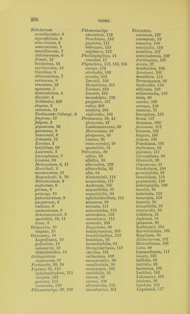 Nidularium acanthocrater, 8 lujavccfoUwn, 4 albo-rosemn, 4 amazonicum, 5 ampullaceum, 7 Antoineanum, 6 Binoti, 12 bivittatum, 10 carcharodon, 12 Carolince, 9 chlorostictim, 7 coriaceum, 8 crucntuni, 10 cyaneum, 5 denticulatian, 4 discolor, 4 Eckhautei, 220 elegans, 5 exwiiuni, 11 Ferdinando-Coburgi, 6 fragrans, 17 fulgens, 9 giganteum, 10 guianense, 9 Innocentii, 8 Johannis, 11 Karatas, 2 latifolium, 69 Laurentii, 7 leucoophceum, 7 Lindeni, 69 Makoyanum, 6, 11 Marichali, 9 marmoratiim, 11 Meycndorjii, 9, 10 Morrenianum, 9 neglectum, 6 pictum, 9 princeps, 10 pidveridentum, 9 purpureum, 4 rutilans, 9 sarmentosum, 5 Selleremeticioii, 0 spectabile, 10, 11 triste, 5 OCHAGAVIA, 19 elegans, 19 Ortgiesia, 18 Legrelleana, 19 palleolata, 19 subexserta, 19 tillandsioides, 18 Orthopetahnn standneum, 97 Eectinaria, 33, 58 Fepinia, 91, 115 aphelandrasflora, 115 insignis, 142 pnnicea, 115 rccurvata, 110 Phlomostachys, 99, 109 Phlomostachys atrorubem, 112 Funckiana, 110 gigantea, 111 imbricata, 113 stdphurea, 112 Pholidopltyllum, 14 zonatum, 17 Phytarhiza, 157,158,163 anceps, 172 circinalis, 166 crocata, 103 Duratii, 166 Havialeana, 211 Lindeni, 210 linearis, 164 monadelplui, 192 purpurea, 167 rubra, 206 unijlora, 164 xiphioides, 164 Pironneava, 33, 44 glomerata, 47 Luddemanniana, 50 Morreniana, 48 platynema, 35 ramosa, 36 roseo-ccerulea, 48 spectabilis, 51 PiTCAIRNIA, 89 affinis, 92 albiflos, 99 albo-rubra, 102 albucipfolia, 92 alta, 94 Altensteinii, 114 ainazonica, 117 Andreana, 105 angustifolia, 91 angustifolia, 94 aphelandrasAora, 115 araneosa, 98 arcuata, 111 asterotricha, 119 atrorubens, 112 aurantiaca, 114 australis, 103 Beycalema, 96 brachysperma, 105 brachystachya, 118 bracteata, 93 bromelisefolia, 94 Bi'ongniartiaua, 110 coBiulea, 121 caldasiana, 100 camptocalyx, 96 canaliculata, 99 caracasaiia, 103 caricifolia, 91 carnea, 92 cernua, 109 chrysantha, 119 einnabarina, 101 PiTCAIRNIA coarctata, 127 commutata, 93 concolor, 100 consimilis, 119 corallina, 107 corcovadensis, 100 Darblayana, 107 decora, 97 dendroidea, 104 Decaisnei, 105 densiflora, 114 Devansayana, 93 dyckioides, 118 echinata, 108 echinotricha, 119 elata, 99 excelsa, 106 exscaj)a, 109 fastuosa, 71 ferruginea, 119 firma, 117 flammea, 1061 Jlavescens, 107 floceosa, 121 fulgens, 105 fulgens, 101 Funckiana, 101 furfuracta, 92 gigantea. 111 Gireoudiana, 93 Glaziovii, 92 Glymniana, 91 Goudotiana, 108 graminifolia, 97 Gravisiana, 114 guyanensis, 120 heterophylla, 109 humilis, 94 imbricata, 113 incarnata, 116 inermis, 95 integrifolia, 97 intermedia, 94 iridiflora, 91 Jacksoni, 94 jaliscana, 99 Kalbreyeri, 104 Karwinskiana, 101 Kegeliana, 96 Klaboehorum, 107 Klotzschiana, 106 Icevis, 99 Lamarcheana, 111 lanata, 125 latifolia, 92 latifolia, 93 laxissima, 101 Lechleri, 102 Lehmanni, 104 leiolerna, 96 lepidota, 105 Leprieurii, 117