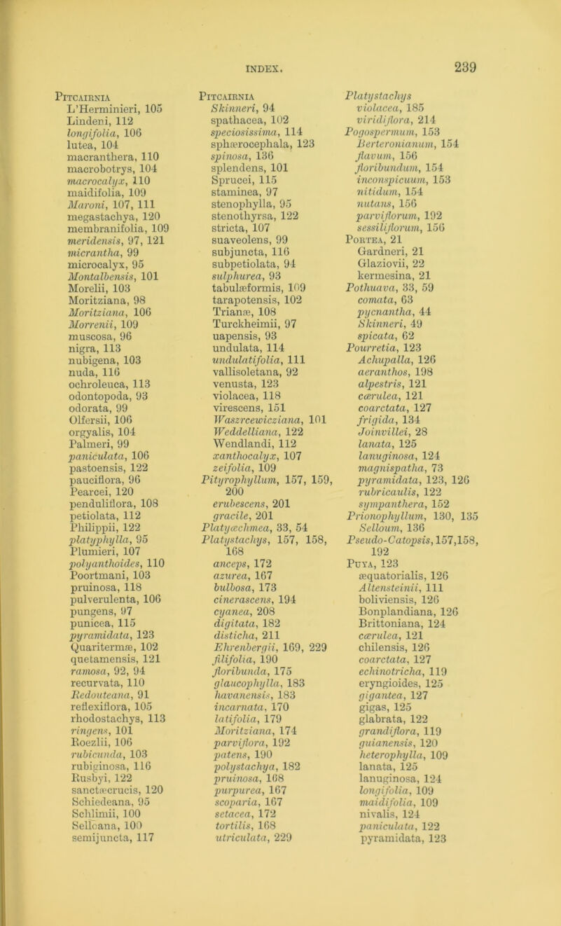 PiTCAIRNIA L’Herminieri, 105 Liudeni, 112 lonfjifolia, 106 lutea, 104 macranthera, 110 macrobotrys, 104 macrocalijx, 110 maidifolia, 109 Maroni, 107, 111 megastachya, 120 membranifolia, 109 vieridensis, 97, 121 micrantha, 99 microcalyx, 95 Montalhemis, 101 Morelii, 103 Moritziana, 98 Moritziana, 106 Morrenii, 109 muscosa, 96 nigra, 113 nubigena, 103 nuda, 116 ochroleuca, 113 odontopoda, 93 odorata, 99 Olfersii, 106 orgyalis, 104 Palmeri, 99 paniculata, 106 pastoensis, 122 pauciflora, 96 Pearcei, 120 pendulitlora, 103 petiolata, 112 Philippii, 122 j)lat)jphijlla, 95 Plumieri, 107 j)olrjanthoicles, 110 Poortmani, 103 pruinosa, 118 pulverulenta, 106 pungens, 97 punicea, 115 pyramidata, 123 Quaritermse, 102 quetamensis, 121 ramosa, 92, 94 recurvata, 110 lledouteana, 91 retlexiflora, 105 rhodostachys, 113 rinyeux, 101 Eoezlii, 106 rubiatnda, 103 rubiginosa, 116 Eusbyi, 122 sancti¥crucis, 120 Schiedeana, 95 Sclilimii, 100 Sellcana, 100 semijuncta, 117 PiTCAIRNIA Skinneri, 94 spathacea, 102 sjyeciosissima, 114 spha“rocepliala, 123 spinosa, 136 splendens, 101 Sprucei, 115 staniinea, 97 stenoiihylla, 95 stenothyrsa, 122 stricta, 107 suaveolens, 99 Bubjuncta, 116 subpetiolata, 94 sulphurea, 93 tabulieformis, 109 tarapotensis, 102 Trianre, 108 Turckheimii, 97 uapensis, 93 undulata, 114 nndulatifolia, 111 vallisoletana, 92 venusta, 123 violacea, 118 virescens, 151 Waszrcewicziana, 101 Weddelliana, 122 Wendlandi, 112 xanthocalyx, 107 zeifoUa, 109 Pityrophyllum, 157, 159, 200 enibescenz, 201 gracile, 201 Platycechmca, 33, 54 Platystachys, 157, 158, 168 anceps, 172 azurea, 167 bulbosa, 173 cinerascenx, 194 cyanea, 208 digitata, 182 disticha, 211 Ehreiibergii, 169, 229 filifolia, i90 Jloribunda, 175 glaucophylla, 183 havanensix, 183 incarnata, 170 latifolia, 179 Moritziana, 174 parvijiora, 192 patem, 190 polystachya, 182 pruhiosa, 168 purpurea, 167 scoparia, 107 setacea, 172 tortilis, 168 utriculata, 229 Platystachys violacea, 185 viridijlora, 214 Pogospermum, 153 Berteronianum, 154 Jlavum, 156 Jloribundum, 154 inconspicuum, 153 nitidum, 154 nutans, 156 parvijlorum, 192 sessilijlonim, 156 PORTEA, 21 Gardneri, 21 Glaziovii, 22 kermesina, 21 Pothuava, 33, 59 comata, 63 pycnantha, 44 Skinneri, 49 spicata, 02 Pourretia, 123 Achupalla, 120 aeranthos, 198 alpestris, 121 cccrulea, 121 coarctata, 127 frigida, 134 Joinvillei, 28 lanata, 125 lanuginosa, 124 magnispatha, 73 pyramidata, 123, 120 rubricaulis, 122 sympanthera, 152 Prionophyllum, 130, 135 Selloum, 136 Pseudo-Catopsis, 157,158, 192 PUYA, 123 ffiquatorialis, 126 Altensteinii, 111 boliviensis, 126 Bonplandiana, 120 Brittoniana, 124 cmrulea, 121 chilensis, 126 coarctata, 127 echuiotricha, 119 eryngioides, 125 gigantea, 127 gigas, 125 glabrata, 122 grandiflora, 119 guianensis, 120 hetcrophylla, 109 lanata, 125 lanuginosa, 124 longifolia, 109 maidifolia, 109 nivalis, 124 paniculata, 122 pyramidata, 123