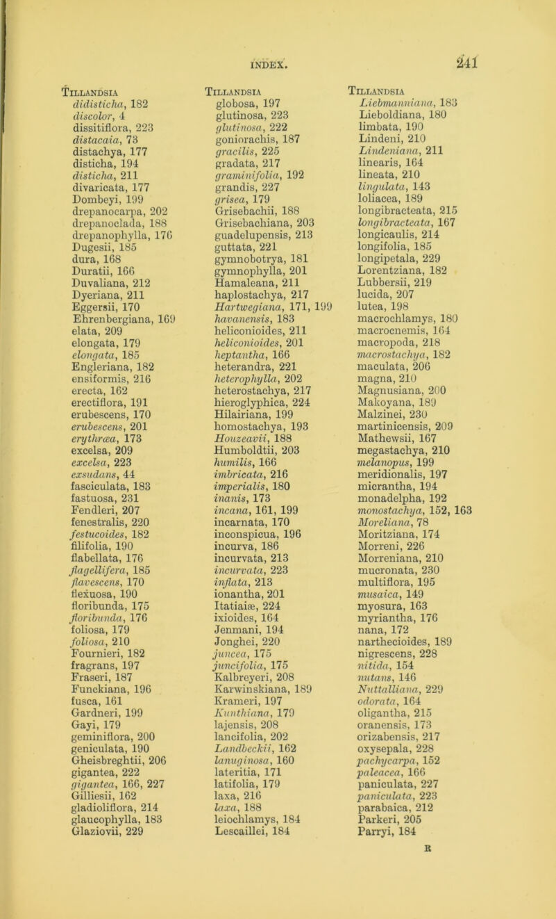 Tillandsia didisticha, 182 discolor, 4 dissitiflora, 223 distacaia, 73 distachya, 177 disticha, 194 disticha, 211 divaricata, 177 Dombeyi, 199 drepanocarpa, 202 drepanoclada, 188 drepanophylla, 170 Dugesii, 185 dura, 168 Duratii, 166 Duvaliana, 212 Dyeriana, 211 Eggersii, 170 Ehrenbergiana, 169 elata, 209 elongata, 179 eloufjata, 185 Engleriana, 182 ensiformis, 216 erecta, 162 erectiflora, 191 erubescens, 170 erubescens, 201 erythrcca, 173 excelsa, 209 cxcelsa, 223 exsudans, 44 fasciculata, 183 fastuosa, 231 Fendleri, 207 fenestralis, 220 festucoides, 182 filifolia, 190 flabellata, 176 Jiagellifcra, 185 Jlavcscens, 170 Hexuosa, 190 floribunda, 175 fioribunda, 176 foliosa, 179 foliosa, 210 Fournieri, 182 fragrans, 197 Fraseri, 187 Funckiana, 196 fusca, 161 Gardner!, 199 Gayi, 179 geminiflora, 200 geniculata, 190 Gheisbreghtii, 206 gigantea, 222 gigantea, 166, 227 Gilliesii, 162 gladioliflora, 214 glaucophylla, 183 Glaziovii, 229 Tillandsia globosa, 197 glutinosa, 223 glutinosa, 222 gonioi-achis, 187 gracilis, 225 gradata, 217 graminifolia, 192 grandis, 227 grisea, 179 Grisebachii, 188 Grisebachiana, 203 guadelupensis, 213 guttata, 221 gymnobotrya, 181 gymnophylla, 201 Hamaleana, 211 haplostachya, 217 Hartwegiana, 171, 199 havanensis, 183 heliconioides, 211 heliconioides, 201 hcptantha, 166 heterandra, 221 heterophylla, 202 heterostachya, 217 hieroglyphica, 224 Hilairiana, 199 homostachya, 193 Houzeavii, 188 Humboldtii, 203 humilis, 166 imbricata, 216 imperialis, 180 inanis, 173 incana, 161, 199 incarnata, 170 inconspicua, 196 incurva, 186 incurvata, 213 inciirvata, 223 inflata, 213 ionantha, 201 Itatiaiae, 224 ixioides, 164 Jenmani, 194 Jonghei, 220 juncea, 175 juncifolia, 175 Kalbreyeri, 208 Karwinskiana, 189 Krameri, 197 Kuuthiana, 179 lajensis, 208 lancifolia, 202 Landbeckii, 162 lanuginosa, 160 lateritia, 171 latifolia, 179 laxa, 216 laxa, 188 leiochlamys, 184 Lescaillei, 184 Tillandsia Liebmanniana, 183 Lieboldiana, 180 limbata, 190 Lindeni, 210 Lindeniana, 211 linearis, 164 lineata, 210 lingulata, 143 loliacea, 189 longibracteata, 215 longibracteata, 167 longicaulis, 214 longifolia, 185 longipetala, 229 Lorentziana, 182 Lubbersii, 219 lucida, 207 lutea, 198 macrochlamys, 180 macrocnemis, 164 macropoda, 218 nuicrostachga, 182 maculata, 206 magna, 210 Magnusiana, 200 Makoyana, 189 Malzinei, 230 martinicensis, 209 Mathewsii, 167 megastachya, 210 vielampus, 199 meridionalis, 197 micrantha, 194 monadelpha, 192 momstachya, 152, 163 Moreliana, 78 Moritziana, 174 Morreni, 226 Morreniana, 210 mucronata, 230 multiflora, 195 rmisaica, 149 myosura, 163 myriantha, 176 nana, 172 narthecioides, 189 nigrescens, 228 nitida, 154 nutans, 146 Nuttalliana, 229 odorata, 164 oligantha, 215 oranensis, 173 orizabensis, 217 oxysepala, 228 pachycarpa, 152 palcacea, 166 paniculata, 227 paniculata, 223 parabaica, 212 Parkeri, 205 Parryi, 184 B