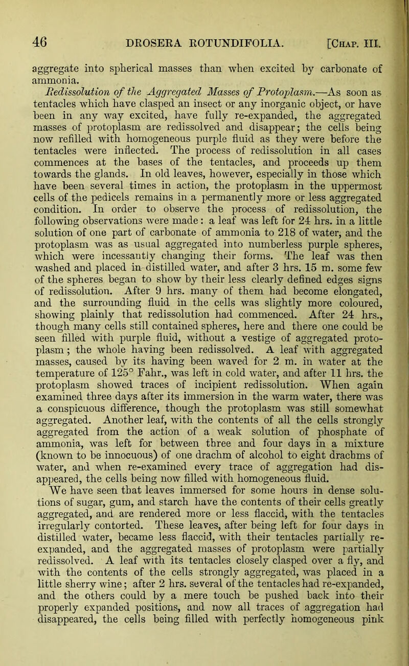 aggregate into spherical masses than when excited by carbonate of ammonia. Itedissolution of the Aggregated Masses of Protoplasm.—As soon as tentacles which have clasped an insect or any inorganic object, or have been in any way excited, have fully re-expanded, the aggregated masses of protoplasm are redissolved and disappear; the cells being now refilled with homogeneous purple fluid as they were before the tentacles were inflected. The process of redissolution in all cases commences at the bases of the tentacles, and proceeds up them towards the glands. In old leaves, however, especially in those which have been several times in action, the protoplasm in the uppermost cells of the pedicels remains in a permanently more or less aggregated condition. In order to observe the process of redissolution, the following observations were made: a leaf was left for 24 hrs. in a little solution of one part of carbonate of ammonia to 218 of water, and the protoplasm was as usual aggregated into numberless purple spheres, which were incessantly changing their forms. The leaf was then washed and placed in distilled water, and after 3 hrs. 15 m. some few of the spheres began to show by their less clearly defined edges signs of redissolution. After 9 hrs. many of them had become elongated, and the surrounding fluid in the cells was slightly more coloured, showing plainly that redissolution had commenced. After 24 hrs., though many cells still contained spheres, here and there one could be seen filled with purple fluid, without a vestige of aggregated proto- plasm ; the whole having been redissolved. A leaf with aggregated masses, caused by its having been waved for 2 m. in water at the temperature of 125° Fahr., was left in cold water, and after 11 hrs. the protoplasm showed traces of incipient redissolution. When again examined three days after its immersion in the warm water, there was a conspicuous difference, though the protoplasm was still somewhat aggregated. Another leaf, with the contents of all the cells strongly aggregated from the action of a weak solution of phosphate of ammonia, was left for between three and four days in a mixture (known to be innocuous) of one drachm of alcohol to eight drachms of water, and when re-examined every trace of aggregation had dis- appeared, the cells being now filled with homogeneous fluid. We have seen that leaves immersed for some hours in dense solu- tions of sugar, gum, and starch have the contents of their cells greatly aggregated, and are rendered more or less flaccid, with the tentacles irregularly contorted. These leaves, after being left for four days in distilled Avater, became less flaccid, with their tentacles partially re- expanded, and the aggregated masses of protoplasm were partially redissolved. A leaf with its tentacles closely clasped over a fly, and with the contents of the cells strongly aggregated, was placed in a little sherry wine; after 2 hrs. several of the tentacles had re-expanded, and the others could by a mere touch be pushed back into their properly expanded positions, and now all traces of aggregation had disappeared, the cells being filled with perfectly homogeneous pink