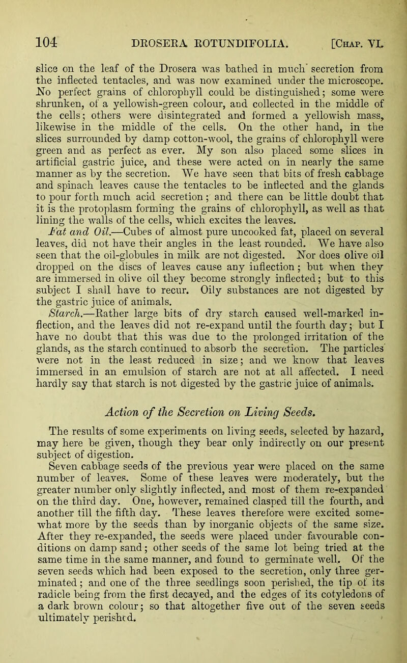 slice on the leaf of the Drosera was bathed, in much secretion from the inflected tentacles, and was now examined under the microscope. No perfect grains of chlorophyll could be distinguished; some were shrunken, of a yellowish-green colour, and collected in the middle of the cells; others were disintegrated and formed a yellowish mass, likewise in the middle of the cells. On the other hand, in the slices surrounded by damp cotton-wool, the grains of chlorophyll were green and as perfect as ever. My son also placed some slices in artificial gastric juice, and these were acted on in nearly the same manner as by the secretion. We have seen that bits of fresh cabbage and spinach leaves cause the tentacles to be inflected and the glands to pour forth much acid secretion ; and there can be little doubt that it is the protoplasm forming the grains of chlorophyll, as well as that lining the walls of the cells, which excites the leaves. I'at and Oil.—Cubes of almost pure uncooked fat, placed on several leaves, did not have their angles in the least rounded. We have also seen that the oil-globules in milk are not digested. Nor does olive oil dropped on the discs of leaves cause any inflection; but when they are immersed in olive oil they become strongly inflected; but to this subject I shall have to recur. Oily substances are not digested by the gastric juice of animals. Starch.—Eather large bits of dry starch cattsed well-marked in- flection, and the leaves did not re-expand until the fourth day; but I have no doubt that this was due to the prolonged irritation of the glands, as the starch continued to absorb the secretion. The particles were not in the least reduced in size; and we know that leaves immersed in an emulsion of starch are not at all affected. I need hardly say that starch is not digested by the gastric juice of animals. Action of the Secretion on Living Seeds. The results of some experiments on living seeds, selected by hazard, may here be. given, though they bear only indirectly on our present subject of digestion. Seven cabbage seeds of the previous year were placed on the same number of leaves. Some of these leaves were moderately, but the greater number only slightly inflected, and most of them re-expanded on the third day. One, however, remained clasped till the fourth, and another till the fifth day. These leaves therefore were excited some- what more by the seeds than by inorganic objects of the same size. After they re-expanded, the seeds were placed under favourable con- ditions on damp sand; other seeds of the same lot being tried at the same time in the same manner, and found to germinate well. Of the seven seeds which had been exposed to the secretion, only three ger- minated ; and one of the three seedlings soon perished, the tip of its radicle being from the first decayed, and the edges of its cotyledons of a dark brown colour; so that altogether five out of the seven seeds ultimately perished.