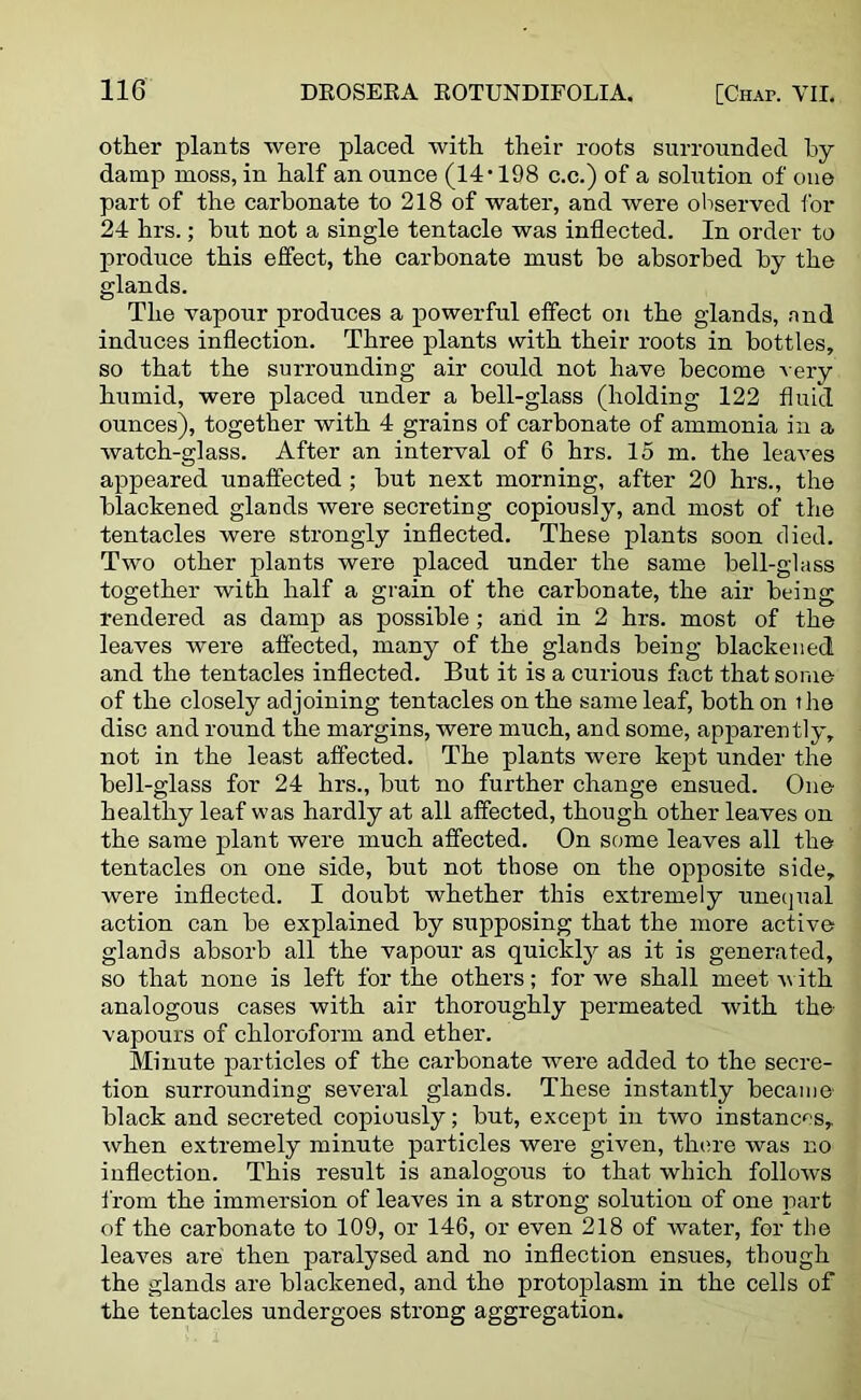 other plants were placed with their roots surrounded by damp moss, in half an ounce (14’ 198 c.c.) of a solution of one part of the carbonate to 218 of water, and were observed for 24 hrs.; but not a single tentacle was inflected. In order to produce this effect, the carbonate must bo absorbed by the glands. The vapour produces a powerful effect on the glands, and induces inflection. Three plants with their roots in bottles, so that the surrounding air could not have become very humid, were placed under a bell-glass (holding 122 fluid ounces), together with 4 grains of carbonate of ammonia in a watch-glass. After an interval of 6 hrs. 15 m. the leaves appeared unaffected ; but next morning, after 20 hrs., the blackened glands were secreting copiously, and most of the tentacles were strongly inflected. These plants soon died. Two other plants were placed under the same bell-glass together with half a grain of the carbonate, the air being rendered as damp as possible ; and in 2 hrs. most of the leaves were affected, many of the glands being blackened and the tentacles inflected. But it is a curious fact that some of the closely adjoining tentacles on the same leaf, both on the disc and round the margins, were much, and some, apparently, not in the least affected. The plants were kept under the bell-glass for 24 hrs., but no further change ensued. One healthy leaf was hardly at all affected, though other leaves on the same plant were much affected. On some leaves all the tentacles on one side, but not those on the opposite side, were inflected. I doubt whether this extremely unequal action can be explained by supposing that the more active glands absorb all the vapour as quickly as it is generated, so that none is left for the others; for we shall meet with analogous cases with air thoroughly permeated with the vapours of chloroform and ether. Minute particles of the carbonate were added to the secre- tion surrounding several glands. These instantly became black and secreted copiously; but, except in two instances, when extremely minute particles were given, there was no inflection. This result is analogous to that which follows from the immersion of leaves in a strong solution of one part of the carbonate to 109, or 146, or even 218 of water, for the leaves are then paralysed and no inflection ensues, though the glands are blackened, and the protoplasm in the cells of the tentacles undergoes strong aggregation.