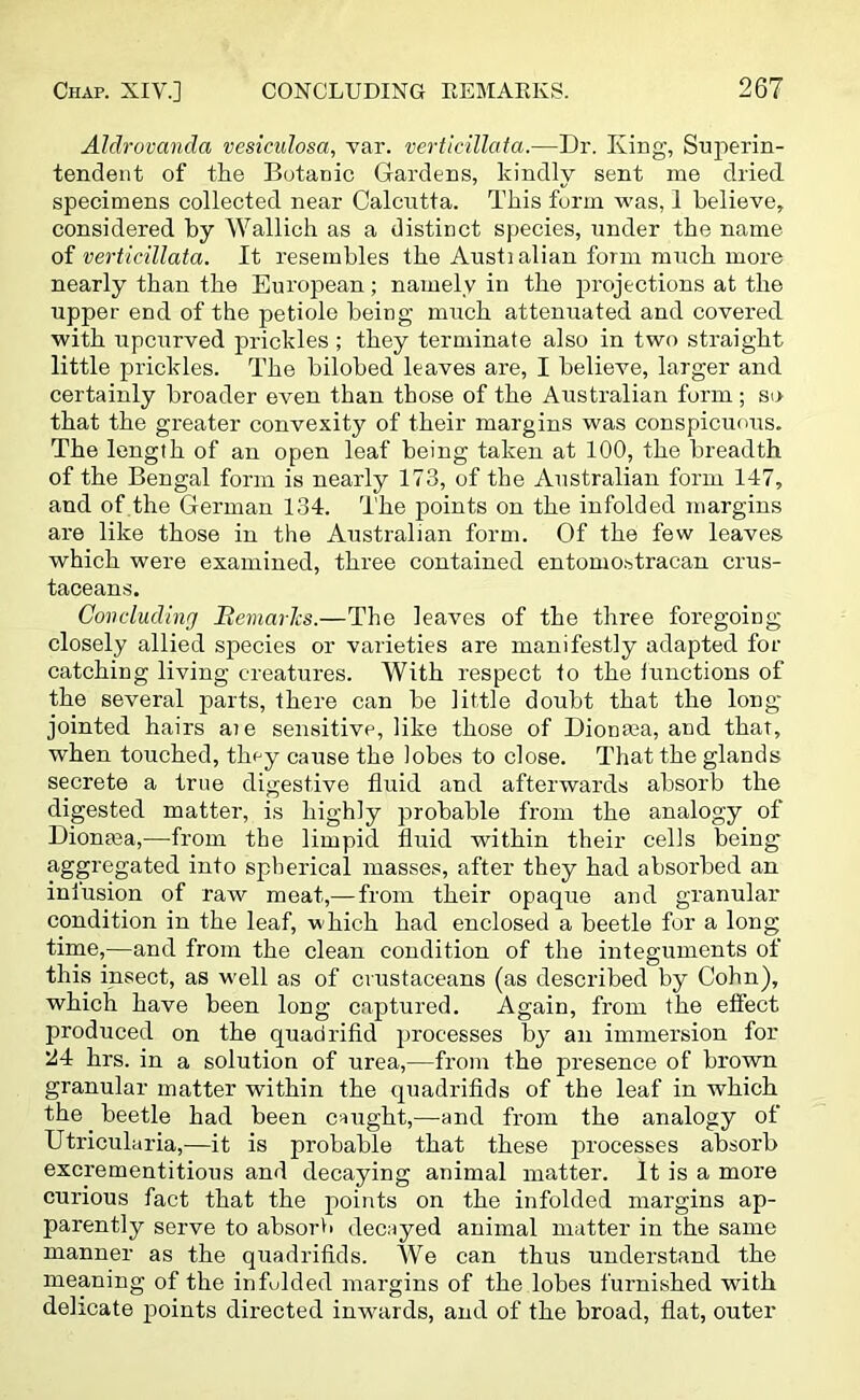 Aldrovanda vesiculosa, var. verticillata.—Dr. King, Superin- tendent of the Botanic Gardens, kindly sent me dried specimens collected near Calcutta. This form was, 1 believe, considered by Wallich as a distinct species, under the name of verticillata. It resembles the Austialian form much more nearly than the European ; namely in the projections at the upper end of the petiole being much attenuated and covered with upcurved prickles ; they terminate also in two straight little prickles. The bilobed leaves are, I believe, larger and certainly broader even than those of the Australian form ; so that the greater convexity of their margins was conspicuous. The length of an open leaf being taken at 100, the breadth of the Bengal form is nearly 173, of the Australian form 147, and of the German 134. The points on the infolded margins are like those in the Australian form. Of the few leaves which were examined, three contained entomostracan crus- taceans. Concluding Hematics.—The leaves of the three foregoing closely allied species or varieties are manifestly adapted for catching living creatures. With respect to the functions of the several parts, there can be little doubt that the long jointed hairs aie sensitive, like those of Dionaea, and that, when touched, they cause the lobes to close. That the glands secrete a true digestive fluid and afterwards absorb the digested matter, is highly probable from the analogy of Dionma,—-from the limpid fluid within their cells being aggregated into spherical masses, after they had absorbed an iniusion of raw meat,— from their opaque and granular condition in the leaf, which had enclosed a beetle for a long time,—and from the clean condition of the integuments of this insect, as well as of crustaceans (as described by Cohn), which have been long captured. Again, from the effect produced on the quadrifid processes by an immersion for 114 hrs. in a solution of urea,—from the presence of brown granular matter within the quadrifids of the leaf in which the beetle had been caught,—-and from the analogy of Utricularia,—it is probable that these processes absorb excrementitious and decaying animal matter. It is a more curious fact that the points on the infolded margins ap- parently serve to absorb decayed animal matter in the same manner as the quadrifids. We can thus understand the meaning of the infolded margins of the lobes furnished with delicate points directed inwards, and of the broad, flat, outer