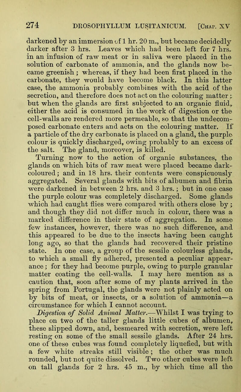 darkened by an immersion of 1 br. 20 m., but became decidedly darker after 3 brs. Leaves which had been left for 7 hrs. in an infusion of raw meat or in saliva were placed in the solution of carbonate of ammonia, and the glands now be- came greenish ; whereas, if they had been first placed in the carbonate, they would have become black. In this latter case, the ammonia probably combines with the acid of the secretion, and therefore does not act on the colouring matter; but when the glands are first subjected to an organic fluidr either the acid is consumed in the work of digestion or the cell-walls are rendered more permeable, so that the undecom- posed carbonate enters and acts on the colouring matter. If a particle of the dry carbonate is placed on a gland, the purple colour is quickly discharged, owing probably to an excess of the salt. The gland, moreover, is killed. Turning now to the action of organic substances, the glands on which bits of raw meat were placed became dark- coloured; and in 18 hrs. their contents were conspicuously aggregated. Several glands with bits of albumen and fibrin, were darkened in between 2 hrs. and 3 hrs.; but in one case the purple colour was completely discharged. Some glands which had caught flies were compared with others close by; and though they did not differ much in colour, there was a marked difference in their state of aggregation. In some few instances, however, there was no such difference, and this appeared to be due to the insects having been caught long ago, so that the glands had recovered their pristine state. In one case, a group of the sessile colourless glands, to which a small fly adhered, presented a peculiar appear- ance ; for they had become purple, owing to purple granular matter coating the cell-walls. I may here mention as a caution that, soon after some of my plants arrived in the spring from Portugal, the glands were not plainly acted on by bits of meat, or insects, or a solution of ammonia—a circumstance for which I cannot account. Digestion of Solid Animal Matter.—Whilst I was trying to place on two of the taller glands little cubes of albumen, these slipped down, and, besmeared with secretion, were left resting on some of the small sessile glands. After 24 hrs. one of these cubes was found completely liquefied, but with a few white streaks still visible; the other was much rounded, but not quite dissolved. Two other cubes were left on tall glands for 2 hrs. 45 m., by which time all the