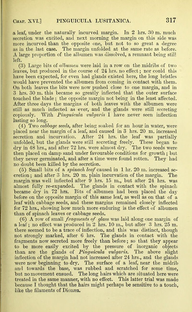a leaf, under the naturally incurved margin. In 2 lirs. 30 m. much secretion was excited, and next morning the margin on this side was more incurved than the opposite one, but not to so great a degree as iu the last case. The margin unfolded at the same rate as before. A large proportion of the albumen was dissolved, a remnant being still left. (3) Large hits of albumen were laid in a row on the midribs of two leaves, but produced in the course of 24 hrs. no effect; nor could this have been expected, for even had glands existed here, the long bristles would have prevented the albumen from coming in contact with them. On both leaves the hits were now pushed close to one margin, and in 3 hrs. 30 m. this became so greatly inflected that the outer surface touched the blade; the opposite margin not being in the least affected. After three days the margins of both leaves with the albumen were still as much inflected as ever, and the glands were still secreting copiously. With Pinguicula vulgaris I have never seen inflection lasting so long. (4) Two cabbage seeds, after being soaked for an hour in water, were placed near the margin of a leaf, and caused in 3 hrs. 20 m. increased secretion and incurvation. After 24 hrs. the leaf was partially unfolded, but the glands were still secreting freely. These began to dry in 48 hrs., and after 72 hrs. were almost dry. The two seeds were then placed on damp sand under favourable conditions for growth ; but they never germinated, and after a time were found rotten. They had no doubt been killed by the secretion. (5) Small bits of a spinach leaf caused in 1 hr. 20 m. increased se- cretion ; and after 3 hrs. 20 m. plain incurvation of the margin. The margin was well inflected after 9 hrs. 15 m., but after 24 hrs. was almost fully re-expanded. The glands in contact with the spinach became dry in 72 hrs. Bits of albumen had been placed the day before on the opposite margin of this same leaf, as well as on that of a leaf with cabbage seeds, and these margins remained closely inflected for 72 hrs., showing how much more enduring is the effect of albumen than of spinach leaves or cabbage seeds. (6) A row of small fragments of glass was laid along one margin of a leaf; no effect was produced in 2 hrs. 10 m., but after 3 hrs. 25 m. there seemed to be a trace of inflection, and this was distinct, though not strongly marked, after 6 hrs. The glands in contact with the fragments now secreted more freely than before; so that they appear to be more easily excited by the pressure of inorganic objects than are the glands of Pinguicula vulgaris. The above slight inflection of the margin had not increased after 24 hrs., and the glands were now beginning to dry. The surface of a leaf, near the midrib and towards the base, was rubbed and scratched for some time, but no movement ensued. The long hairs which are situated here were treated in the same manner, with no effect. This latter trial was made because I thought that the hairs might perhaps be sensitive to a touch, like the filaments of Dioncea.