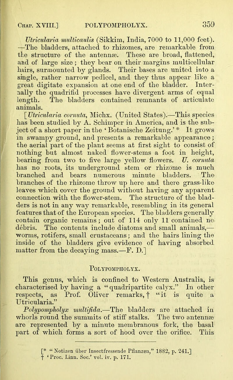 TJtricularia miilticaulis (Sikkim, India, 7000 to 11,000 feet). —The bladders, attacked to rkizomes, are remarkable from tie structure of tke antennae. These are broad, flattened, and of large size; they bear on their margins multicellular hairs, surmounted by glands. Their bases are united into a single, rather narrow pedicel, and they thus appear like a great digitate expansion at one end of the bladder. Inter- nally the quadrifld processes have divergent arms of equal length. The bladders contained remnants of articulate animals. [ TJtricularia cornuta, Michx. (United States).—This species has been studied by A. Schimper in America, and is the sub- ject of a short paper in the ‘ Botanische Zeitung.’ * It grows in swampy ground, and presents a remarkable appearance; the aerial part of the plant seems at first sight to consist of nothing but almost naked flower-stems a foot in height, bearing from two to five large yellow flowers. U. cornuta has no roots, its underground stem or rhizome is much branched and bears numerous minute bladders. The branches of the rhizome throw up here and there grass-like leaves which cover the ground without having any apparent connection with the flower-stem. The structure of the blad- ders is not in any way remarkable, resembling in its general features that of the European species. The bladders generally contain organic remains; out of 114 only 11 contained nc debris. The contents include diatoms and small animals,— worms, rotifers, small crustaceans; and the hairs lining the inside of the bladders give evidence of having absorbed matter from the decaying mass.—F. D.] POLYPOMPHOLYX. This genus, which is confined to Western Australia, is characterised by having a “ quadripartite calyx.” In other respects, as Prof. Oliver remarks, f “ it is quite a Utricularia.” Pohjwompliolijx multifida.—The bladders are attached in whorls round the summits of stiff stalks. The two antennas are represented by a minute membranous fork, the basal part of which forms a sort of hood over the orifice. This [* “ Xotizen iiber Insectfressende Pflanzen,” 1882, p. 241.] f ‘Proc. Linn. Soc.’ vol. iv. p. 171.