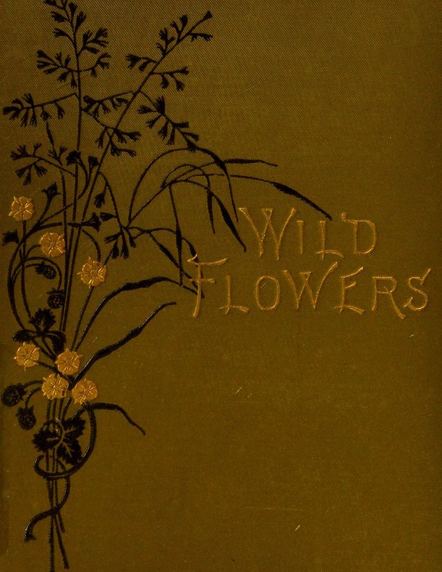 No text description is available for this image