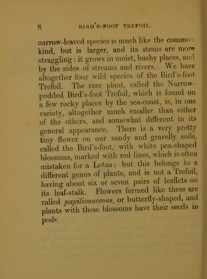 narrow-leaved species is much like the common kind, but is larger, and its stems are more straggling : it grows in moist, bushy places, and by the sides of streams and rivers. We have altogether four wild species of the Bird’s-foot Trefoil. The rare plant, called the Narrow- podded Bird’s-foot Trefoil, which is found on a few rocky places by the sea-coast, is, in one variety, altogether much smaller than either of the others, and somewhat different in its general appearance. rIhere is a veiy pretty tiny flower on our sandy and gravelly soils, called the Bird’s-foot, with white pea-shaped blossoms, marked with red lines, which is often mistaken for a Lotus: but this belongs to a different genus of plants, and is not a Iretoil, having about six or seven pairs of leaflets on its leaf-stalk. Blowers formed like these are called papilionaceous, or butterfly-shaped and plants with these blossoms have their seeds in pods.