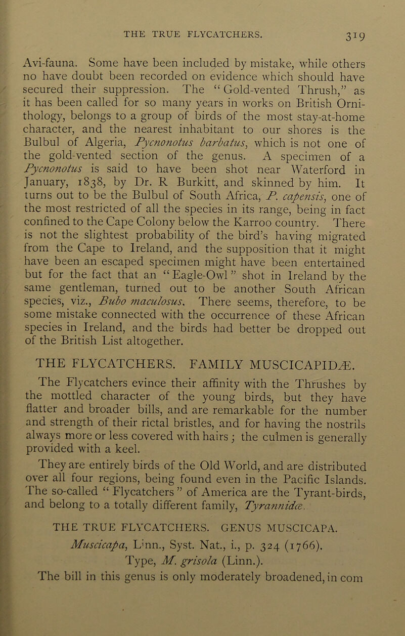 Avi-fauna. Some have been included by mistake, while others no have doubt been recorded on evidence which should have secured their suppression. The “ Gold-vented Thrush,” as it has been called for so many years in works on British Orni- thology, belongs to a group of birds of the most stay-at-home character, and the nearest inhabitant to our shores is the Bulbul of Algeria, Pycnonotus barbatus^ which is not one of the gold-vented section of the genus. A specimen of a Pycnonotus is said to have been shot near Waterford in January, 1838, by Dr. R Burkitt, and skinned by him. It turns out to be the Bulbul of South Africa, P. capensis, one of the most restricted of all the species in its range, being in fact confined to the Cape Colony below the Karroo country. I'here is not the slightest probability of the bird’s having migrated from the Cape to Ireland, and the supposition that it might have been an escaped specimen might have been entertained but for the fact that an “ Eagle-Owl ” shot in Ireland by the same gentleman, turned out to be another South African species, viz.. Bubo ?naculosus. There seems, therefore, to be some mistake connected with the occurrence of these African species in Ireland, and the birds had better be dropped out of the British List altogether. THE FLYCATCHERS. FAMILY MUSCICAPIDH:. The Flycatchers evince their affinity with the Thrushes by the mottled character of the young birds, but they have flatter and broader bills, and are remarkable for the number and strength of their rictal bristles, and for having the nostrils always more or less covered with hairs ; the culmen is generally provided with a keel. They are entirely birds of the Old World, and are distributed over all four regions, being found even in the Pacific Islands. The so-called “ Flycatchers” of America are the Tyrant-birds, and belong to a totally different family, Tyrannidce. THE TRUE FLYCATCHERS. GENUS MUSCICAPA. Muscicapa, Lmn., Syst. Nat., i., p. 324 (1766). Type, M. grisola (Linn.). The bill in this genus is only moderately broadened, in com