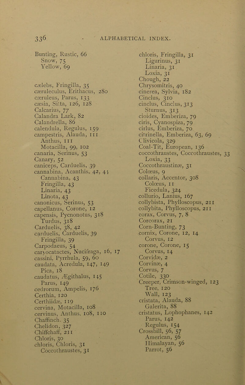 Bunting, Rustic, 66 Snow, 75 Yellow, 69 Ccelebs, Fringilla, 35 cseruleculus, Erithacus, 280 cseruleus, Parus, 133 caesia, Sitta, 126, 128 Calcarius, 77 Calandra Lark, 82 Calandrella, 86 calendula, Regulus, 159 campestris, Alauda, iii Anthus, III Motacilla, 99, 102 Canaria, Serinus, 53 Canary, 52 caniceps, Carduelis, 39 cannabina, i\canthis, 42, 41. Cannabina, 43 Fringilla, 43 Linaria, 43 Linota, 43 canonicus, Serinus, 53 capellanus, Corone, 12 capensis, Pycnonotus, 318 Turdus, 318 Carduelis, 38, 42 carduelis, Carduelis, 39 Fringilla, 39 Carpodaeus, 54 carjocatactes, Nucifraga, 16, 17 Cassini, Pyrrhula, 59, 60 caudata, Acredula, 147, I49 Pica, 18 caudatus, /Egithalus, 14.5 Parus, 149 cedrorum, Ampelis, 176 Certhia, 120 Certhiidre, 119 cervina, Motacilla, 108 cervinus, Anthus, 108, no Chaffinch. 35 Chelidon, 327 Chiffchaff, 211 Chlorjs, 30 chloris, Chloris, 31 Coccothraustes, 31 chloris, Fringilla, 31 Ligurinus, 31 Linaria, 31 Loxia, 31 Chough, 22 Chrysomitris, 40 cinerea, Syhda, 182 Cinclus, 310 cinclus, Cinclus, 313 Sturnus, 313 cioides, Emberiza, 79 ciris, Cyanospiza, 79 cirlus, Emberiza, 70 citrinella, Emberiza, 63, 69 Clivicola, 329 Coal-Tit, European, 136 coccothraustes, Coccothraustes, 33 Loxia, 33 Coccothraustinse, 31 Coloeus, 9 collaris. Accentor, 308 Coloeus, II Ficedula, 324 collurio, Lanius, 167 collybista, Phylloscopus, 2II collybita, Phylloscopus, 211 corax, Corvus, 7, 8 Cor corax, 21 Corn-Bunting, 73 cornix, Corone, 12, 14 Corvus, 12 corone, Corone, 15 Corvus, 14 Corvidre, 2 Corvinse, 4 Corvus, 7 Cotile, 330 Creeper, Crimson-winged, 123 Tree, 120 Wall, 123 cristata, Alauda, 88 Galerita, 88 cristatus, Lophophanes, 142 Parus, 142 Regulus, 154 Crossbill, 56, 57 American, 56 Himalayan, 56 Parrot, 56