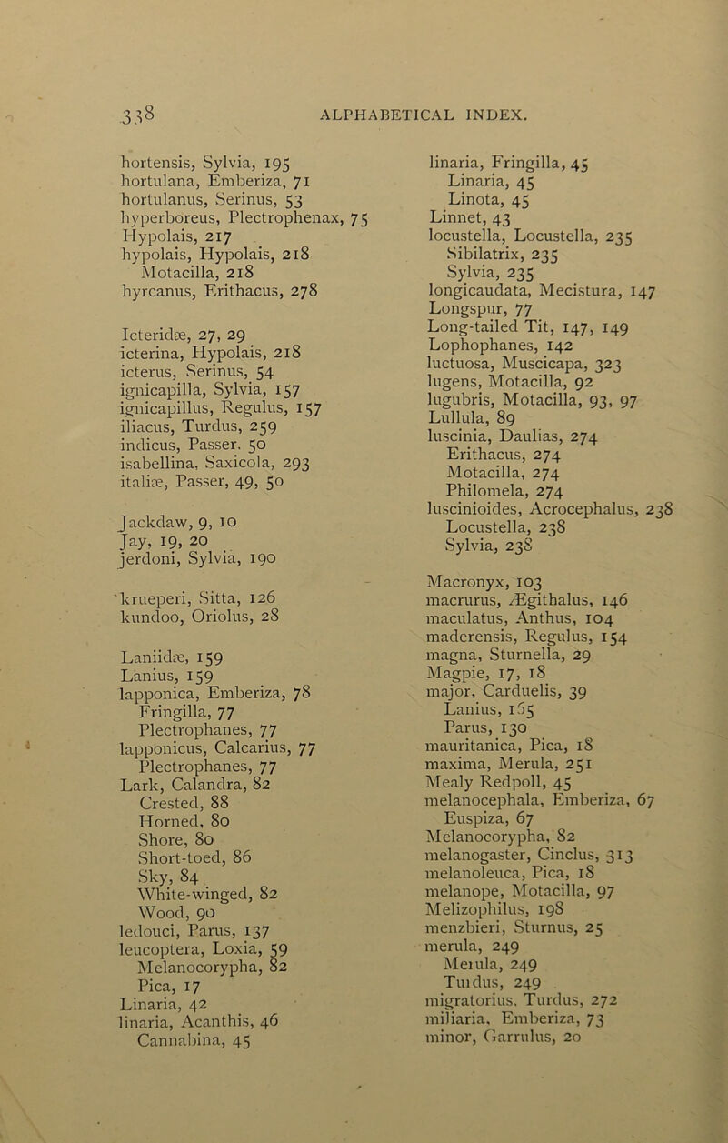 hortensis, Sylvia, 195 hortulana, Emberiza, 71 hortulanus, Serinus, 53 hyperboreus, Plectrophenax, 75 Hypolais, 217 hypolais, Hypolais, 218 Motacilla, 218 hyrcanus, Erithacus, 278 Icteridee, 27, 29 icterina, Hypolais, 218 icterus, Serinus, 54 ignicapilla, Sylvia, 157 ignicapillus, Regulus, 157 iliacus, Turdus, 259 indicus. Passer. 50 i.sabellina, Saxicola, 293 italire. Passer, 49, 50 Jackdaw, 9, 10 Jay, 19, 20 jercioni, Sylvia, 190 krueperi, Sitta, 126 kundoo, Oriolus, 28 Laniicke, 159 Lanius, 159 lapponica, Emberiza, 78 Fringilla, 77 Plectrophanes, 77 lapponicus, Calcarius, 77 Plectrophanes, 77 Lark, Calandra, 82 Crested, 88 Horned, 80 Shore, 80 Short-toed, 86 Sky, 84 _ White-winged, 82 Wood, 90 ledouci, Parus, 137 leucoptera, Loxia, 59 Melanocorypha, 82 Pica, 17 Linaria, 42 linaria, Acanthis, 46 Cannalhna, 45 linaria, Fringilla, 45 Linaria, 45 Linota, 45 Linnet, 43 locustella, Locustella, 235 Sibilatrix, 235 Sylvia, 235 longicaudata, Mecistura, 147 Longspur, 77 Long-tailed Tit, 147, 149 Lophophanes, 142 luctuosa, Muscicapa, 323 lugens, Motacilla, 92 lugubris, Motacilla, 93, 97 Lullula, 89 huscinia, Daulias, 274 Erithacus, 274 Motacilla, 274 Philomela, 274 luscinioides, Acrocephalus, 238 Locustella, 238 Sylvia, 23S Macronyx, 103 macrurus, zEgithalus, 146 maculatus, Anthus, 104 maderensis, Regulus, 154 magna, Sturnella, 29 Magpie, 17, 18 major, Carduelis, 39 Lanius, 165 Parus, 130 mauritanica. Pica, 18 maxima, Merula, 251 Mealy Redpoll, 45 melanocephala, Emberiza, 67 Euspiza, 67 Melanocorypha, 82 melanogaster, Cinclus, 313 melanoleuca. Pica, 18 melanope, Motacilla, 97 Melizophilus, 198 menzbieri, Sturnus, 25 merula, 249 Meiula, 249 Tuidus, 249 migratorius. Turdus, 272 miliaria, Emberiza, 73 minor, Garrulus, 20