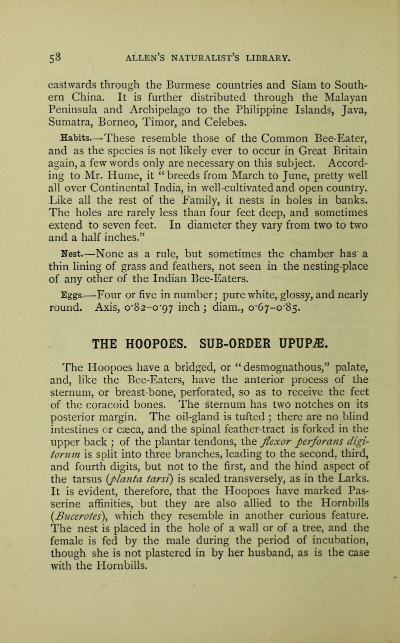 eastwards through the Burmese countries and Siam to South- ern China. It is further distributed through the Malayan Peninsula and Archipelago to the Philippine Islands, Java, Sumatra, Borneo, Timor, and Celebes. Habits—-These resemble those of the Common Bee-Eater, and as the species is not likely ever to occur in Great Britain again, a few words only are necessary,on this subject. Accord- ing to Mr. Hume, it “breeds from March to June, pretty well all over Continental India, in well-cultivated and open country. Like all the rest of the Family, it nests in holes in banks. The holes are rarely less than four feet deep, and sometimes extend to seven feet. In diameter they vary from two to two and a half inches.” Nest.—None as a rule, but sometimes the chamber has a thin lining of grass and feathers, not seen in the nesting-place of any other of the Indian Bee-Eaters. Eggs.—Four or five in number; pure white, glossy, and nearly round. Axis, o*82-o*97 inch ; diam., o’6y-o’8^. THE HOOPOES. SUB-ORDER UPUP^. The Hoopoes have a bridged, or “ desmognathous,” palate, and, like the Bee-Eaters, have the anterior process of the sternum, or breast-bone, perforated, so as to receive the feet of the coracoid bones. The sternum has two notches on its posterior margin. The oil-gland is tufted ; there are no blind intestines or caeca, and the spinal feather-tract is forked in the upper back ; of the plantar tendons, the flexor perforans digi- torum is split into three branches, leading to the second, third, and fourth digits, but not to the first, and the hind aspect of the tarsus {planta tarsi') is scaled transversely, as in the Larks. It is evident, therefore, that the Hoopoes have marked Pas- serine affinities, but they are also allied to the Hornbills {Bucerotes), which they resemble in another curious feature. The nest is placed in the hole of a wall or of a tree, and the female is fed by the male during the period of incubation, though she is not plastered in by her husband, as is the case with the Hornbills.