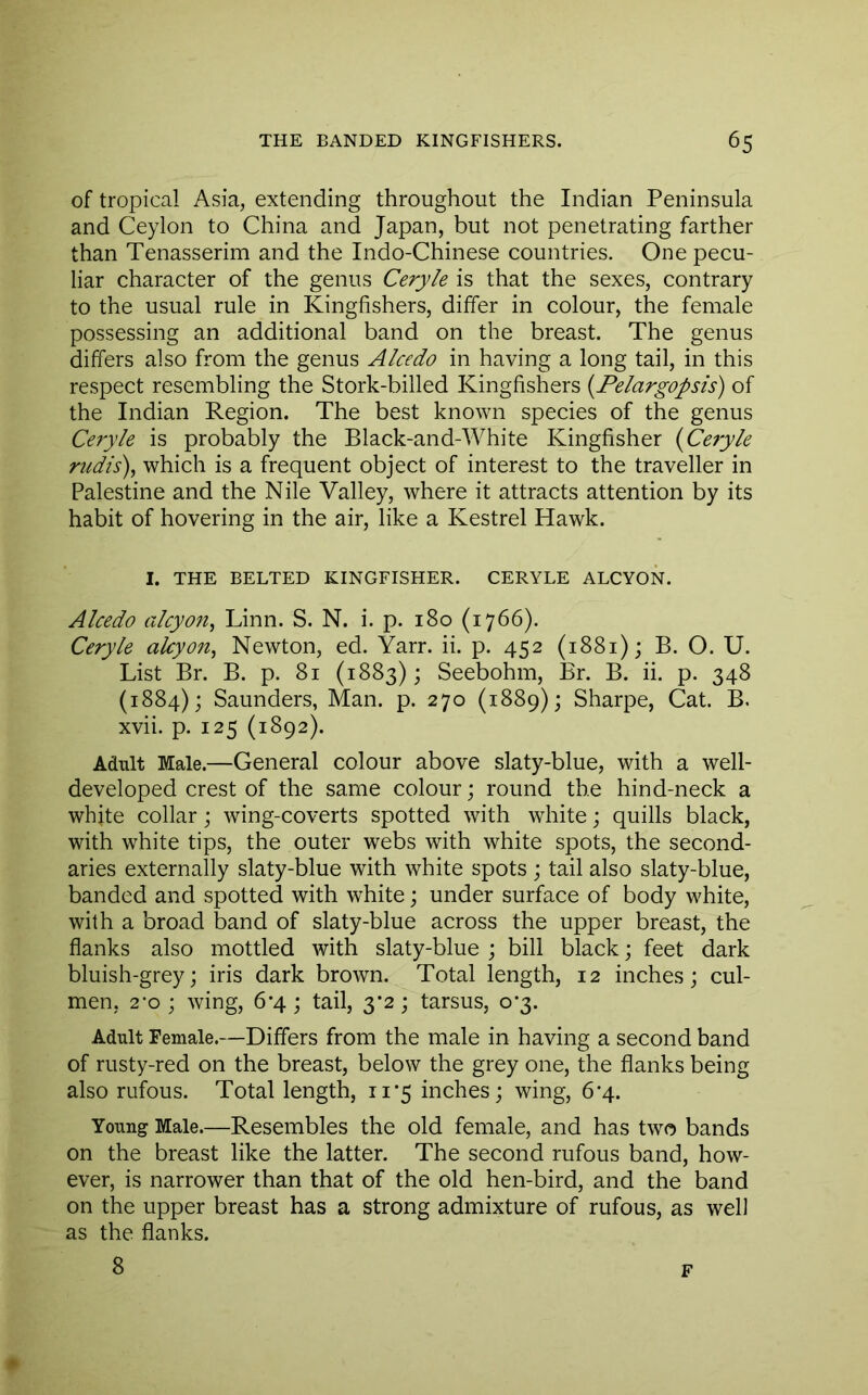 of tropical Asia, extending throughout the Indian Peninsula and Ceylon to China and Japan, but not penetrating farther than Tenasserim and the Indo-Chinese countries. One pecu- liar character of the genus Ceryle is that the sexes, contrary to the usual rule in Kingfishers, differ in colour, the female possessing an additional band on the breast. The genus differs also from the genus Alcedo in having a long tail, in this respect resembling the Stork-billed Kingfishers {Felargopsis) of the Indian Region. The best known species of the genus Ceryle is probably the Black-and-White Kingfisher {Ce?yle rudis), which is a frequent object of interest to the traveller in Palestine and the Nile Valley, where it attracts attention by its habit of hovering in the air, like a Kestrel Hawk. I. THE BELTED KINGFISHER. CERYLE ALCYON. Alcedo alcyofi, Linn. S. N. i. p. 180 (1766). Ceryle alcyon^ Newton, ed. Yarr. ii. p. 452 (1881); B. O. U. List Br. B. p. 81 (1883); Seebohm, Br. B. ii. p. 348 (1884); Saunders, Man. p. 270 (1889); Sharpe, Cat. B. xvii. p. 125 (1892). Adult Male.—General colour above slaty-blue, with a well- developed crest of the same colour; round the hind-neck a white collar; wing-coverts spotted with white; quills black, with white tips, the outer webs with white spots, the second- aries externally slaty-blue with white spots ; tail also slaty-blue, banded and spotted with white; under surface of body white, with a broad band of slaty-blue across the upper breast, the flanks also mottled with slaty-blue ; bill black; feet dark bluish-grey; iris dark brown. Total length, 12 inches; cul- men, 2-0; wing, 6’4 ; tail, 3*2; tarsus, 0*3. Adult Female.—Differs from the male in having a second band of rusty-red on the breast, below the grey one, the flanks being also rufous. Total length, ii’5 inches; wing, 6*4. Young Male.—Resembles the old female, and has two bands on the breast like the latter. The second rufous band, how- ever, is narrower than that of the old hen-bird, and the band on the upper breast has a strong admixture of rufous, as well as the flanks. 8 F