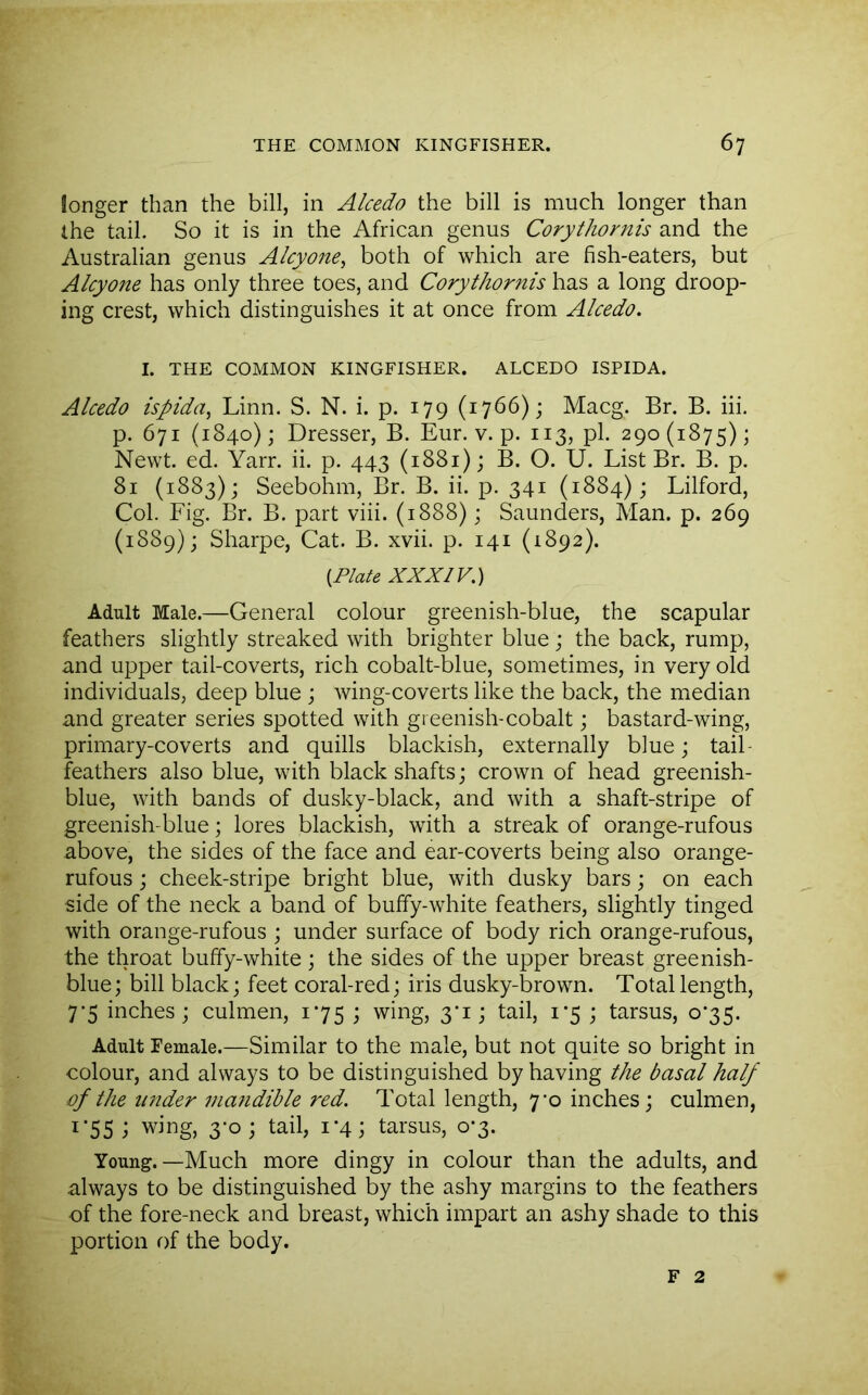 longer than the bill, in Alcedo the bill is much longer than the tail. So it is in the African genus Corythortiis and the Australian genus Alcyone^ both of which are fish-eaters, but Alcyone has only three toes, and Corythornis has a long droop- ing crest, which distinguishes it at once from Alcedo. I. THE COMMON KINGFISHER. ALCEDO ISPIDA. Alcedo ispida^ Linn. S. N. i. p. 179 (1766); Macg. Br. B. hi. p. 671 (1840); Dresser, B. Eur. v. p. 113, pi. 290(1875); Newt. ed. Yarn ii. p. 443 (1881); B. O. U. List Br. B. p. 81 (1883); Seebohm, Br. B. ii. p. 341 (1884); Lilford, Col. Fig. Br. B. part viii. (1888); Saunders, Man. p. 269 (1889); Sharpe, Cat. B. xvii. p. 141 (1892). {Plate XXXIV,) Adult Male.—General colour greenish-blue, the scapular feathers slightly streaked with brighter blue; the back, rump, and upper tail-coverts, rich cobalt-blue, sometimes, in very old individuals, deep blue ; wing-coverts like the back, the median and greater series spotted with greenish-cobalt; bastard-wing, primary-coverts and quills blackish, externally blue; tail- feathers also blue, with black shafts; crown of head greenish- blue, with bands of dusky-black, and with a shaft-stripe of greenish-blue; lores blackish, with a streak of orange-rufous above, the sides of the face and ear-coverts being also orange- rufous ; cheek-stripe bright blue, with dusky bars; on each side of the neck a band of buffy-white feathers, slightly tinged with orange-rufous ; under surface of body rich orange-rufous, the throat buffy-white ; the sides of the upper breast greenish- blue; bill black; feet coral-red; iris dusky-brown. Total length, 7’5 inches ; culmen, 175 ; wing, 3*1; tail, i‘5 ; tarsus, 075. Adult Female.—Similar to the male, but not quite so bright in colour, and always to be distinguished by having the basal half of the imder matidible red. Total length, 7*0 inches; culmen, I’55 ; wing, 3-0; tail, 1-4; tarsus, 0*3. Young.—Much more dingy in colour than the adults, and always to be distinguished by the ashy margins to the feathers of the fore-neck and breast, which impart an ashy shade to this portion of the body. F 2