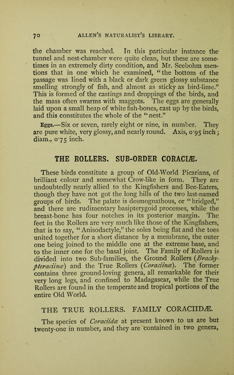 the chamber was reached. In this particular instance the tunnel and nest-chamber were quite clean, but these are some- times in an extremely dirty condition, and Mr. vSeebohm men- tions that in one which he examined, “the bottom of the passage was lined with a black or dark green glossy substance smelling strongly of fish, and almost as sticky as bird-lime.” This is formed of the castings and droppings of the birds, and the mass often swarms with maggots. The eggs are generally laid upon a small heap of white fish-bones, cast up by the birds, and this constitutes the whole of the “nest.” Eggs.—Six or seven, rarely eight or nine, in number. They are pure white, very glossy, and nearly round. Axis, 0*95 inch; diam., 075 inch. THE ROLLERS. SUB-ORDER CORACI^. These birds constitute a group of Old-World Picarians, of brilliant colour and somewhat Crow-like in form. They are undoubtedly nearly allied to the Kingfishers and Bee-Eaters, though they have not got the long bills of the two last-named groups of birds. The palate is desmognathous, or “bridged,” and there are rudimentary basipterygoid processes, while the breast-bone has four notches in its posterior margin. The feet in the Rollers are very much like those of the Kingfishers, that is to say, “ Anisodactyle,” the soles being flat and the toes united together for a short distance by a m.embrane, the outer one being joined to the middle one at the extreme base, and to the inner one for the basal joint. The Family of Rollers is divided into two Sub-families, the Ground Rollers {Brachy- pteraciince) and the True Rollers {Coraciince). The former contains three ground-loving genera, all remarkable for their very long legs, and confined to Madagascar, while the True Rollers are found in the temperate and tropical portions of the entire Old World. THE TRUE ROLLERS. FAMILY CORACIIDiE. The species of CoraciidcR at present known^ to us are but twenty-one in number, and they are contained in two genera,