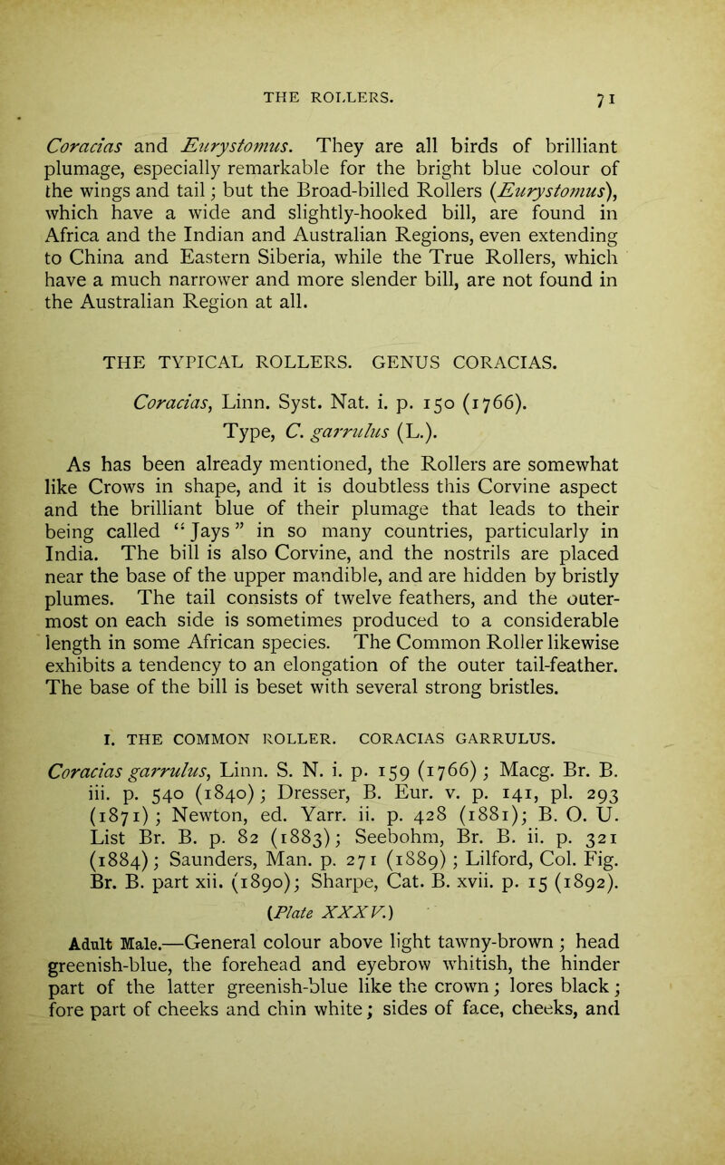 Coracias and Eurysfomus. They are all birds of brilliant plumage, especially remarkable for the bright blue colour of the wings and tail; but the Broad-billed Rollers {Eurystomus), which have a wide and slightly-hooked bill, are found in Africa and the Indian and Australian Regions, even extending to China and Eastern Siberia, while the True Rollers, which have a much narrower and more slender bill, are not found in the Australian Region at all. THE TYPICAL ROLLERS. GENUS CORACIAS, Coracias, Linn. Syst. Nat. i. p. 150 (1766). Type, C. garrulus (L.). As has been already mentioned, the Rollers are somewhat like Crows in shape, and it is doubtless this Corvine aspect and the brilliant blue of their plumage that leads to their being called Jays ” in so many countries, particularly in India. The bill is also Corvine, and the nostrils are placed near the base of the upper mandible, and are hidden by bristly plumes. The tail consists of twelve feathers, and the outer- most on each side is sometimes produced to a considerable length in some African species. The Common Roller likewise exhibits a tendency to an elongation of the outer tail-feather. The base of the bill is beset with several strong bristles. I. THE COMMON ROLLER. CORACIAS GARRULUS. Coracias garrulus, Linn. S. N. i. p. 159 (1766); Macg. Br. B. iii. p. 540 (1840); Dresser, B. Eur. v. p. 141, pi. 293 (1871); Newton, ed. Yarn ii. p. 428 (1881); B. O. U. List Br. B. p. 82 (1883); Seebohm, Br. B. ii. p. 321 (1884); Saunders, Man. p. 271 (1889) ; Lilford, Col. Fig. Br. B. part xii. (1890); Sharpe, Cat. B. xvii. p. 15 (1892). iPIate XXXV.) Adult Male.—General colour above light tawny-brown ; head greenish-blue, the forehead and eyebrow whitish, the hinder part of the latter greenish-blue like the crown; lores black; fore part of cheeks and chin white; sides of face, cheeks, and