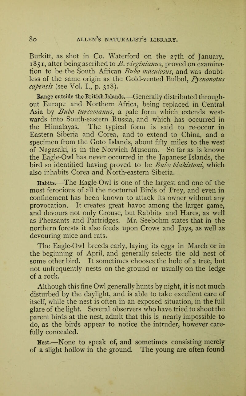 Burkitt, as shot in Co. Waterford on the 27th of January, 1851, after being ascribed to B. virginia?ius, proved on examina- tion to be the South African Bubo maculosus^ and was doubt- less of the same origin as the Gold-vented Bulbul, Pycnonotus cap67isis (see Vol. I., p. 318). Range outside the British Islands.—Generally distributed through- out Europe and Northern Africa, being replaced in Central Asia by Bubo turco??ianus, a pale form which extends west- wards into South-eastern Russia, and which has occurred in the Himalayas. The typical form is said to re-occur in Eastern Siberia and Corea, and to extend to China, and a specimen from the Goto Islands, about fifty miles to the west of Nagasaki, is in the Norwich Museum. So far as is known the Eagle-Owl has never occurred in the Japanese Islands, the bird so identified having proved to be Btibo blakistoni^ which also inhabits Corea and North-eastern Siberia. Habits.—The Eagle-Owl is one of the largest and one of the most ferocious of ail the nocturnal Birds of Prey, and even in confinement has been known to attack its owner without any provocation. It creates great havoc among the larger game, and devours not only Grouse, but Rabbits and Hares, as well as Pheasants and Partridges. Mr. Seebohm states that in the northern forests it also feeds upon Crows and Jays, as well as devouring mice and rats. The Eagle-Owl breeds early, laying its eggs in March or in the beginning of April, and generally selects the old nest of some other bird. It sometimes chooses the hole of a tree, but not unfrequently nests on the ground or usually on the ledge of a rock. Although this fine Owl generally hunts by night, it is not much disturbed by the daylight, and is able to take excellent care of itself, while the nest is often in an exposed situation, in the full glare of the light. Several observers who have tried to shoot the parent birds at the nest, admit that this is nearly impossible to do, as the birds appear to notice the intruder, however care- fully concealed. Nest.—None to speak of, and sometimes consisting merely of a slight hollow in the ground. The young are often found