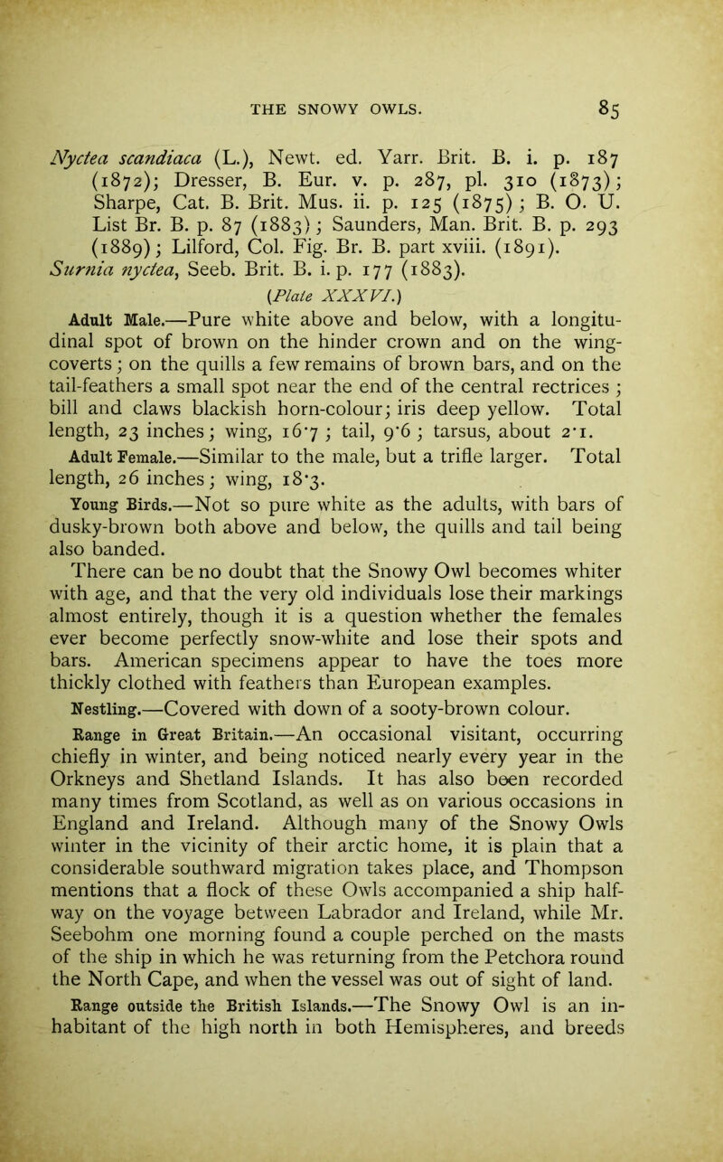 Nyctea scandiaca (L.), Newt. ed. Yarr. Brit. B. i. p. 187 (1872); Dresser, B. Eur. v. p. 287, pi. 310 (1873); Sharpe, Cat. B. Brit. Mus. ii. p. 125 (1875); B. O. U. List Br. B. p. 87 (1883); Saunders, Man. Brit. B. p. 293 (1889); Lilford, Col. Fig. Br. B. part xviii. (1891). Surnia nyctea^ Seeb. Brit. B. i. p. 177 (1883). {Plate XXXVI.) Adult Male.—Pure white above and below, with a longitu- dinal spot of brown on the hinder crown and on the wing- coverts ; on the quills a few remains of brown bars, and on the tail-feathers a small spot near the end of the central rectrices ; bill and claws blackish horn-colour; iris deep yellow. Total length, 23 inches; wing, 167 ; tail, 9'6 ; tarsus, about 2‘i. Adult Female.—Similar to the male, but a trifle larger. Total length, 26 inches; wing, 18*3. Young Birds.—Not SO pure white as the adults, with bars of dusky-brown both above and below, the quills and tail being also banded. There can be no doubt that the Snowy Owl becomes whiter with age, and that the very old individuals lose their markings almost entirely, though it is a question whether the females ever become perfectly snow-white and lose their spots and bars. American specimens appear to have the toes more thickly clothed with feathers than European examples. Nestling.—Covered with down of a sooty-brown colour. Range in Great Britain.—An occasional visitant, occurring chiefly in winter, and being noticed nearly every year in the Orkneys and Shetland Islands. It has also been recorded many times from Scotland, as well as on various occasions in England and Ireland. Although many of the Snowy Owls winter in the vicinity of their arctic home, it is plain that a considerable southward migration takes place, and Thompson mentions that a flock of these Owls accompanied a ship half- way on the voyage between Labrador and Ireland, while Mr. Seebohm one morning found a couple perched on the masts of the ship in which he was returning from the Petchora round the North Cape, and when the vessel was out of sight of land. Range outside the British Islands.—The Snowy Owl is an in- habitant of the high north in both Hemispheres, and breeds