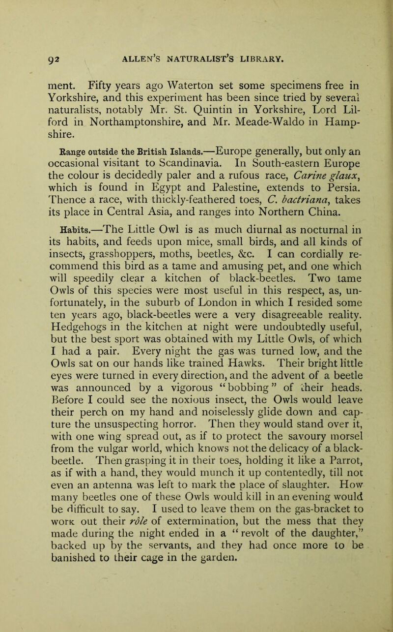 ment. Fifty years ago Waterton set some specimens free in Yorkshire, and this experiment has been since tried by several naturalists, notably Mr. St. Quintin in Yorkshire, Lord Lil- ford in Northamptonshire, and Mr. Meade-Waldo in Hamp- shire. Range outside the British Islands.—Europe generally, but only an occasional visitant to Scandinavia. In South-eastern Europe the colour is decidedly paler and a rufous race, Carine glaux^ which is found in Egypt and Palestine, extends to Persia. Thence a race, with thickly-feathered toes, C. bactriana, takes its place in Central Asia, and ranges into Northern China. Hahits.—The Little Owl is as much diurnal as nocturnal in its habits, and feeds upon mice, small birds, and all kinds of insects, grasshoppers, moths, beetles, &c. I can cordially re- commend this bird as a tame and amusing pet, and one which will speedily clear a kitchen of black-beetles. Two tame Owls of this species were most useful in this respect, as, un- fortunately, in the suburb of London in which I resided some ten years ago, black-beetles were a very disagreeable reality. Hedgehogs in the kitchen at night were undoubtedly useful, but the best sport was obtained with my Little Owls, of which I had a pair. Every night the gas was turned low, and the Owls sat on our hands like trained Hawks. Their bright little eyes were turned in every direction, and the advent of a beetle was announced by a vigorous “ bobbing ” of their heads. Before I could see the noxious insect, the Owls would leave their perch on my hand and noiselessly glide down and cap- ture the unsuspecting horror. Then they would stand over it, with one wing spread out, as if to protect the savoury morsel from the vulgar world, which knows not the delicacy of a black- beetle. Then grasping it in their toes, holding it like a Parrot, as if with a hand, they would munch it up contentedly, till not even an antenna was left to mark the place of slaughter. How many beetles one of these Owls would kill in an evening would be difficult to say. I used to leave them on the gas-bracket to wortc out their role of extermination, but the mess that they made during the night ended in a “ revolt of the daughter,” backed up by the servants, and they had once more to be banished to their cage in the garden.