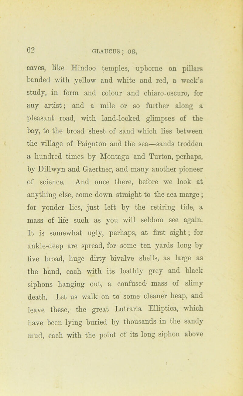 caves, like Hindoo temples, upborne on pillars banded with yellow and white and red, a week’s study, in form and colour and chiaro-oscuro, for any artist; and a mile or so further along a pleasant road, with land-locked glimpses of the bay, to the broad sheet of sand which lies between the village of Paignton and the sea—sands trodden a hundred times by Montagu and Turton, perhaps, by Dillwyn and Gaertner, and many another pioneer of science. And once there, before we look at anything else, come down straight to the sea marge; for yonder lies, just left by the retiring tide, a mass of life such as you will seldom see agaim It is somewhat ugly, perhaps, at first sight; for ankle-deep are spread, for some ten yards long by five broad, huge dirty bivalve shells, as large as the hand, each with its loathly grey and black siphons hanging out, a confused mass of slimy death. Let us walk on to some cleaner heap, and leave these, the great Lutraria EUiptica, wliich have been lying buried by thousands in the sandy mud, each with the point of its long siphon above