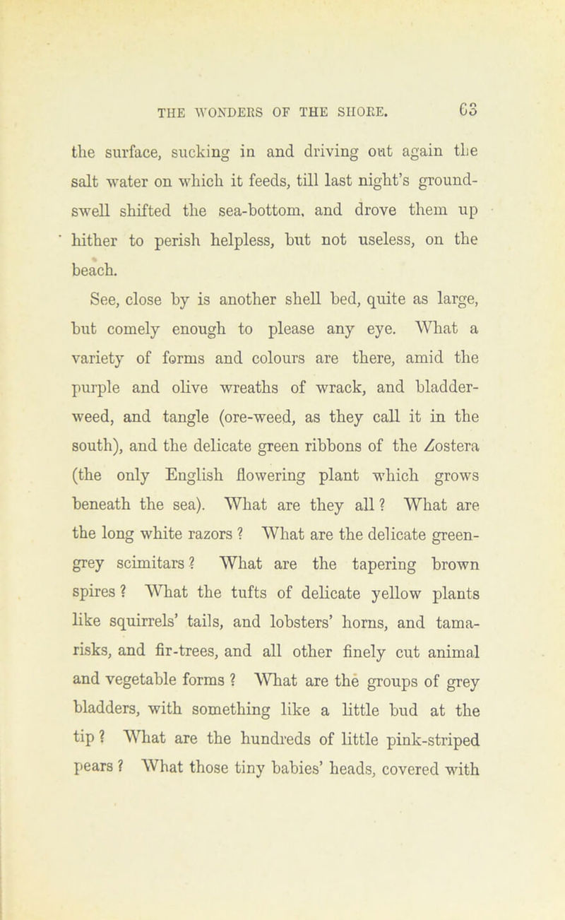 G3 the surface, sucking in and driving out again the salt water on which it feeds, till last night’s ground- swell shifted the sea-bottom, and drove them up hither to perish helpless, hut not useless, on the beach. See, close by is another shell bed, quite as large, but comely enough to please any eye. What a variety of forms and colours are there, amid the purple and oHve wreaths of wrack, and bladder- weed, and tangle (ore-weed, as they call it in the south), and the delicate green ribbons of the Zostera (the only English flowering plant which grows beneath the sea). What are they all ? What are the long white razors ? What are the delicate green- grey scimitars ? What are the tapering brown spires ? What the tufts of delicate yellow plants like squirrels’ tails, and lobsters’ horns, and tama- risks, and fir-trees, and all other finely cut animal and vegetable forms ? What are the groups of grey bladders, with something like a little bud at the tip ? What are the hundreds of little pink-striped pears ? What those tiny babies’ heads, covered with