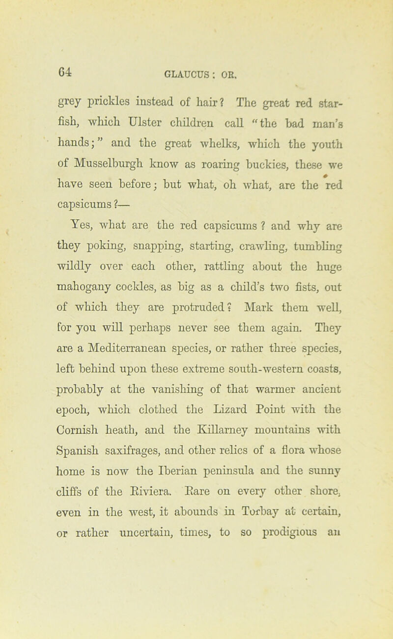 G4 grey prickles instead of liair? The great red star- fish, which Ulster children call “the had man’s hands; ” and the great whelks, which the youth of Musselburgh know as roaring buckies, these we have seen before; but what, oh what, are the red capsicums ?— Yes, what are the red capsicums ? and why are they poking, snapping, starting, crawKng, tumbling wildly over each other, rattling about the huge mahogany cockles, as big as a child’s two fists, out of which they are protruded? Mark them well, for you will perhaps never see them again. They are a Mediterranean species, or rather three species, left behind upon these extreme south-western coasts, probably at the vanishing of that warmer ancient epoch, which clothed the Lizard Point with the Cornish heath, and the Killamey mountains with Spanish saxifrages, and other relics of a flora whose home is now the Iberian peninsula and the sunny cliffs of the Eiviera. Eare on every other shore, even in the west, it abounds in Torbay at certain, or rather uncertain, times, to so prodigious an