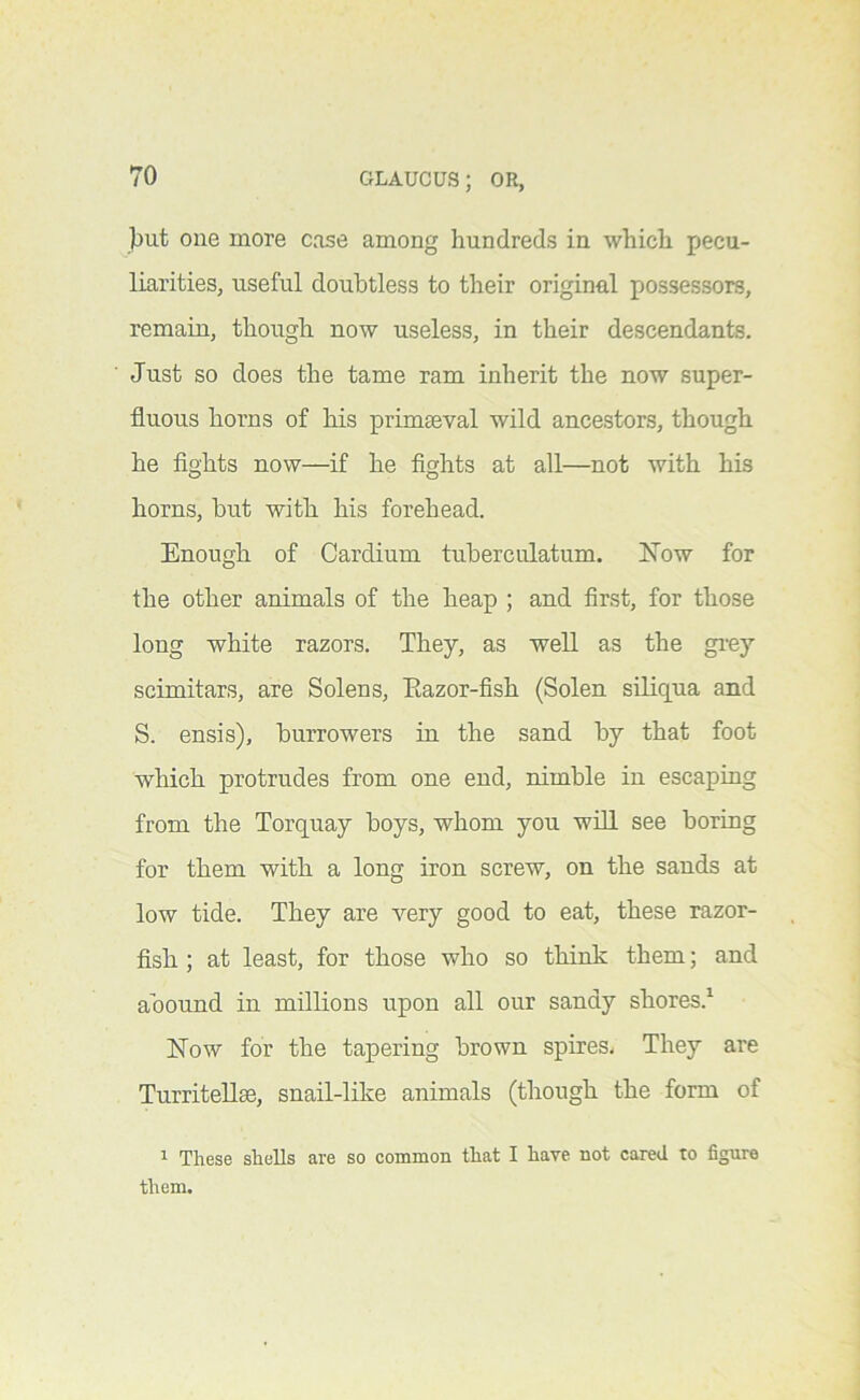 ]but one more case among hundreds in which pecu- liarities, useful doubtless to their original possessors, remain, though now useless, in their descendants. Just so does the tame ram inherit the now super- fluous horns of his primaeval wild ancestors, though he fights now—if he fights at all—not with his horns, but with his forehead. Enough of Cardium tuberculatum. ISTow for the other animals of the heap ; and first, for those long white razors. They, as well as the gi-ey scimitars, are Solens, Eazor-fish (Solen siliqua and S. ensis), borrowers in the sand by that foot which protrudes from one end, nimble in escaping from the Torquay boys, whom you wOl see boring for them with a long iron screw, on the sands at low tide. They are very good to eat, these razor- fish ; at least, for those who so think them; and abound in millions upon all our sandy shores.^ E’ow for the tapering brown spires. They are Turritellae, snail-like animals (though the form of ^ These shells are so common that I have not cared to figure them.