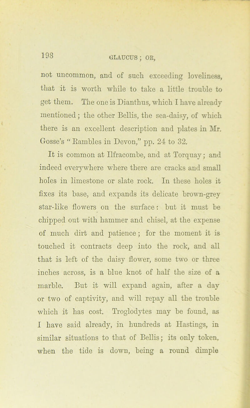 not uncommon, and of such exceeding loveliness, that it is worth while to take a little trouble to get them. The one is Dianthus, which I have already mentioned; the other Beilis, the sea-daisy, of which there is an excellent description and plates in Mr. Gosse’s “ Eambles in Devon,” pp. 24 to 32. It is common at Ilfracombe, and at Torquay; and indeed everj^here where there are cracks and small holes in limestone or slate rock. In these holes it fixes its base, and expands its delicate brown-grey star-like flowers on the surface: but it must be chipped out with hammer and chisel, at the expense of much dirt and patience; for the moment it is touched it contracts deep into the rock, and all that is left of the daisy flower, some two or three inches across, is a blue knot of half the size of a marble. But it will expand again, after a day or two of captivity, and will repay all the trouble which it has cost. Troglodytes may be found, as I have said already, in hrmdreds at Hastings, in similar situations to that of Beilis; its only token, when the tide is down, being a round dimple